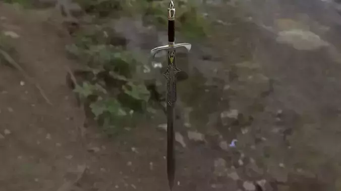 Sword hanging from tree near river