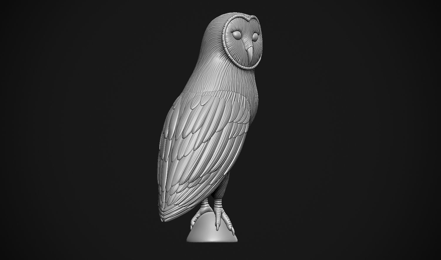 Barn Owl 3D print model_13