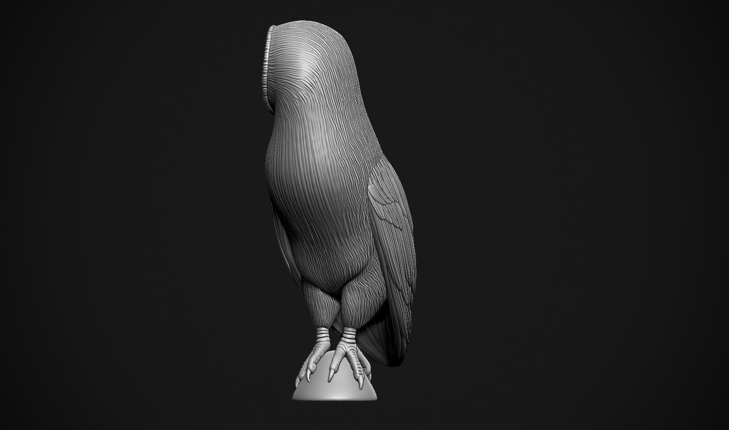 Barn Owl 3D print model_19