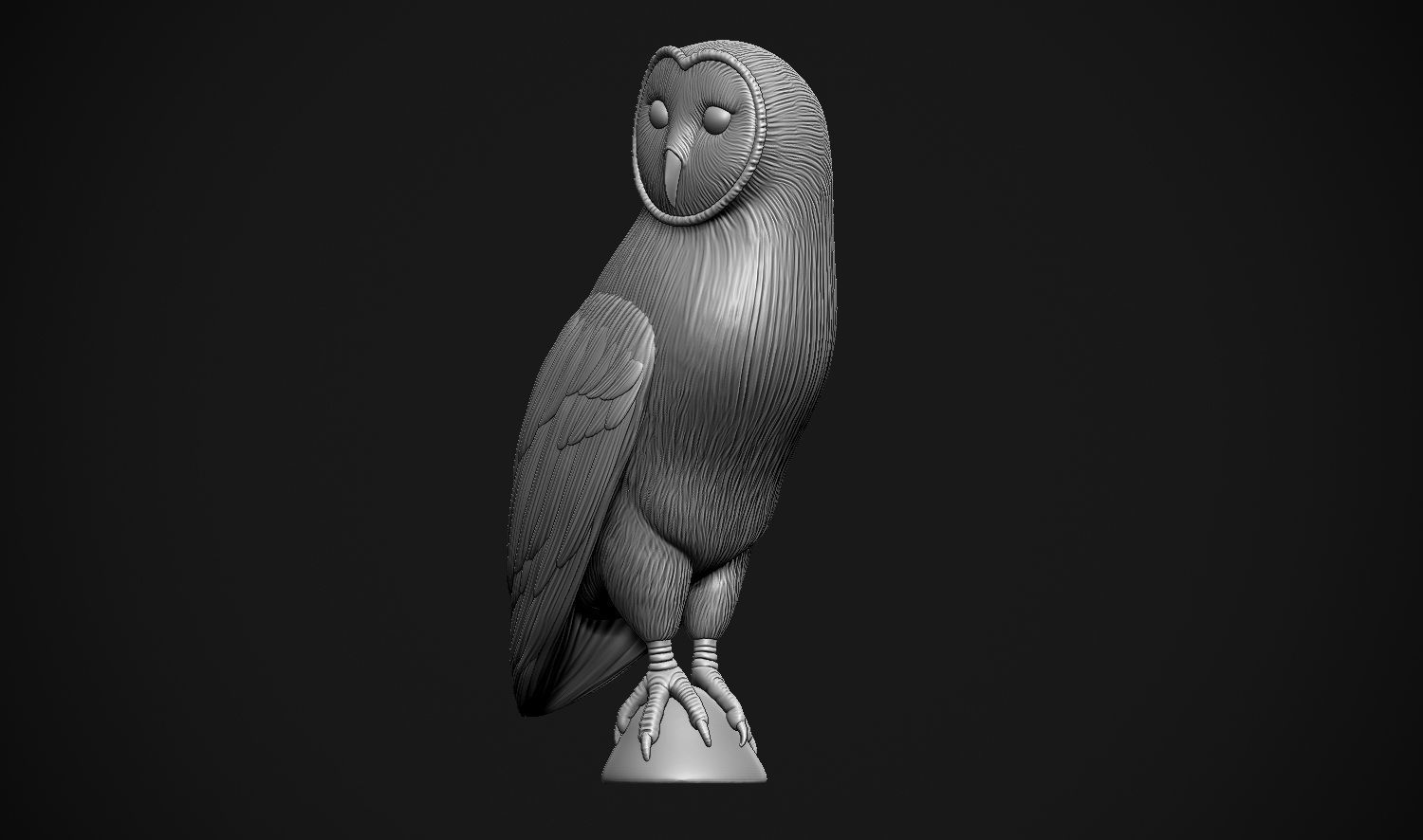 Barn Owl 3D print model_24