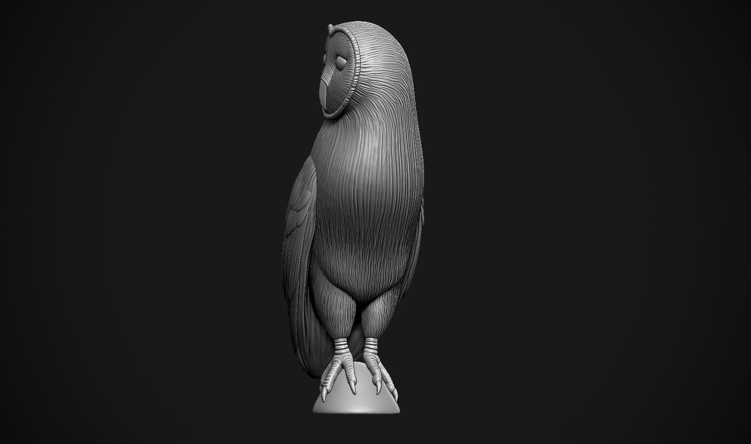 Barn Owl 3D print model_20