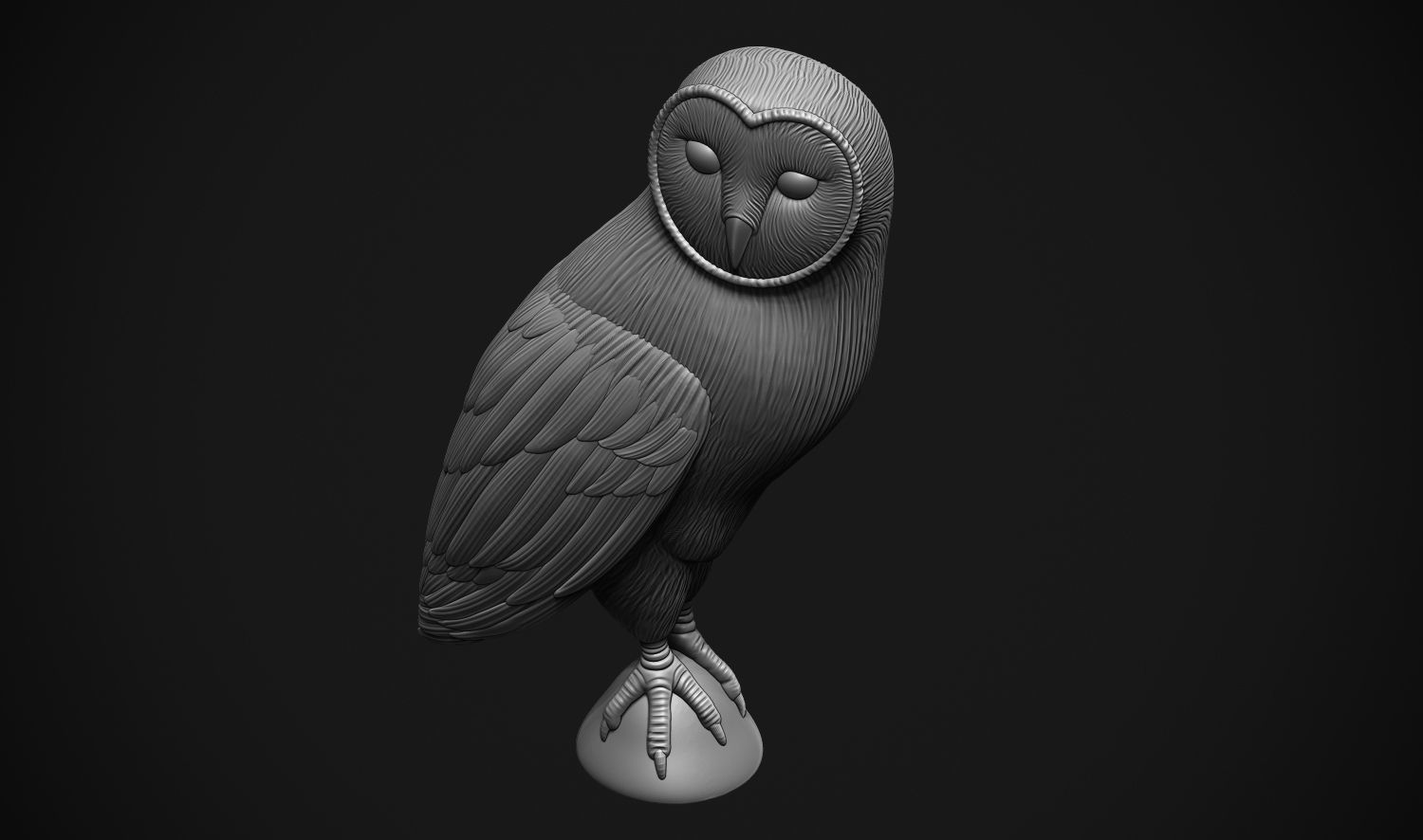 Barn Owl 3D print model_5