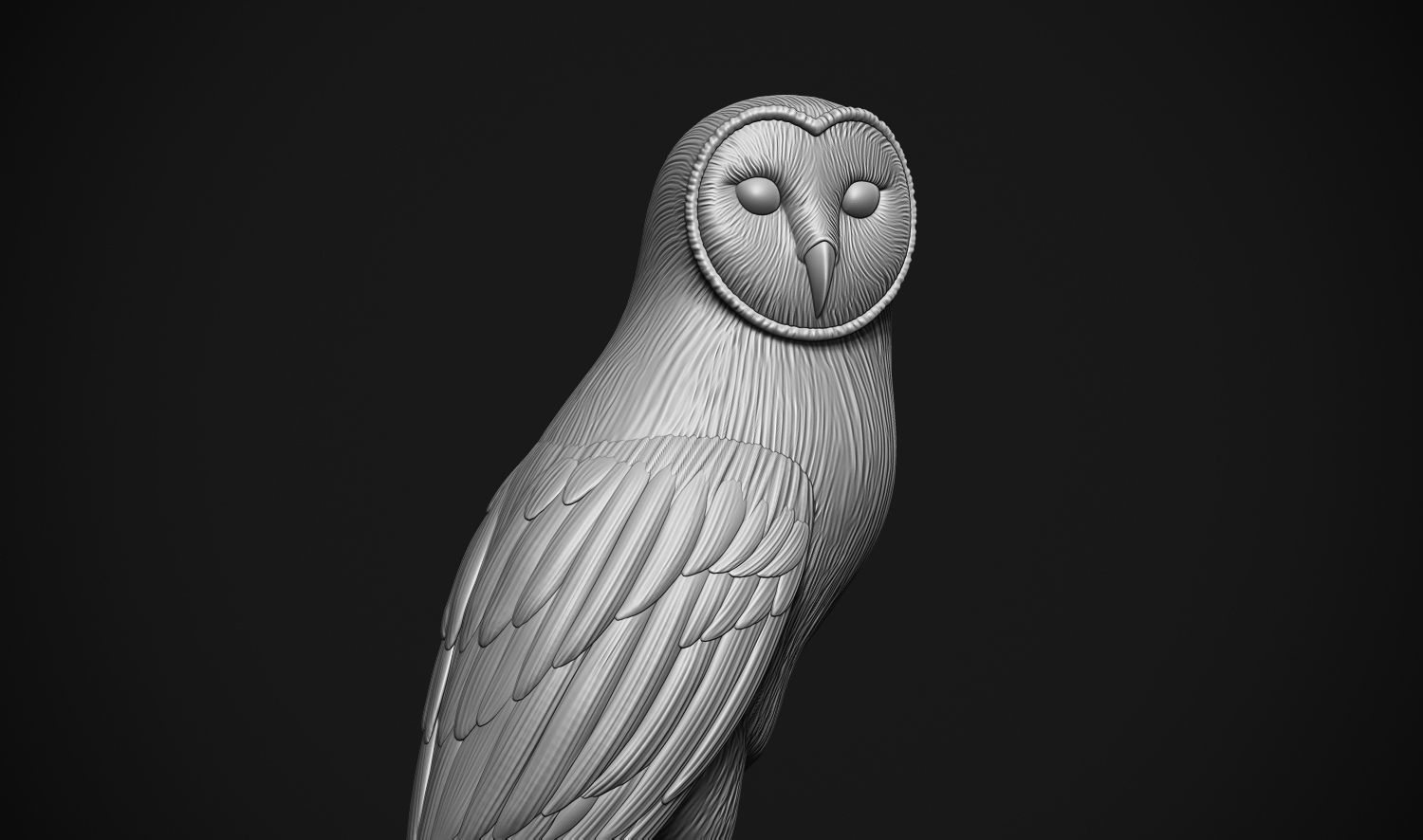 Barn Owl 3D print model_4