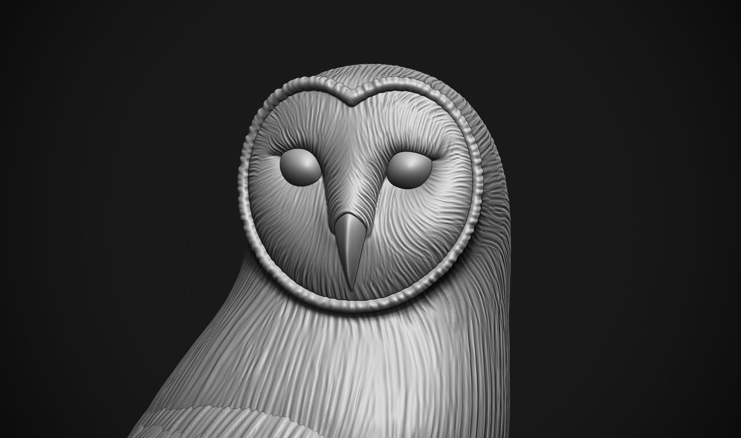 Barn Owl 3D print model_9