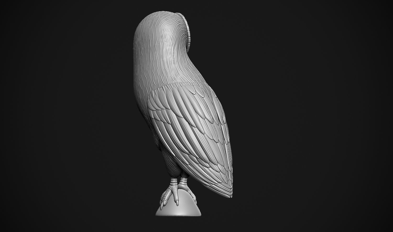 Barn Owl 3D print model_18
