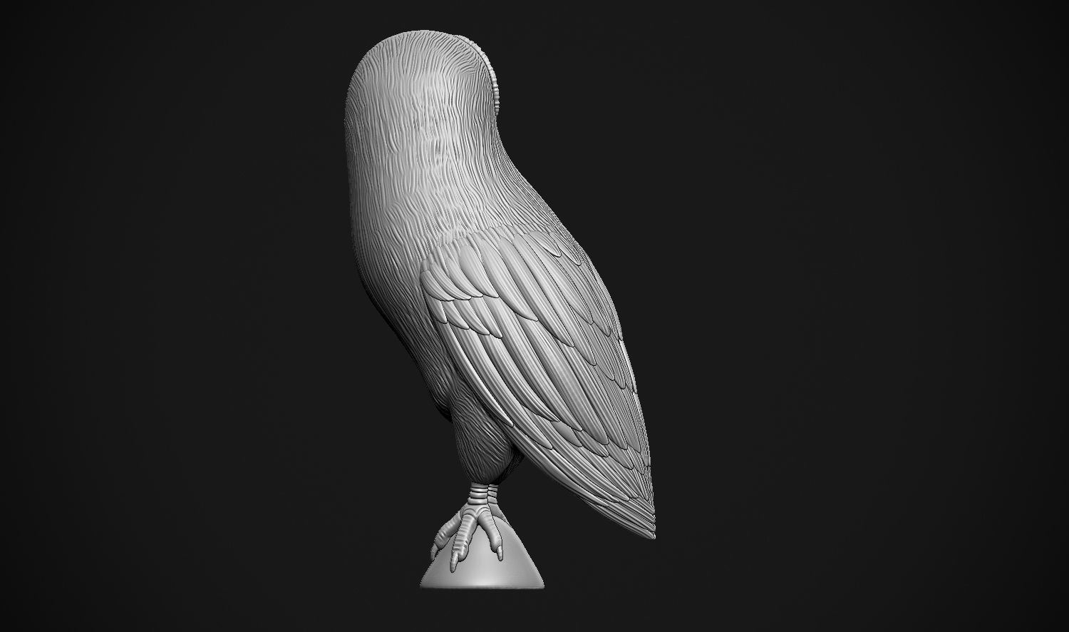 Barn Owl 3D print model_17
