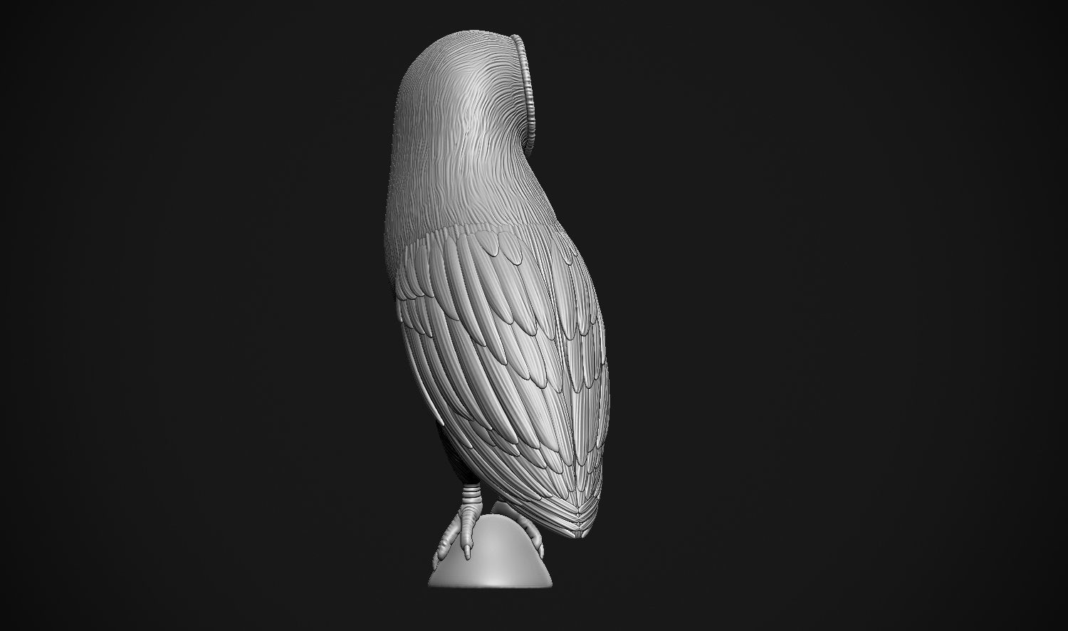 Barn Owl 3D print model_16