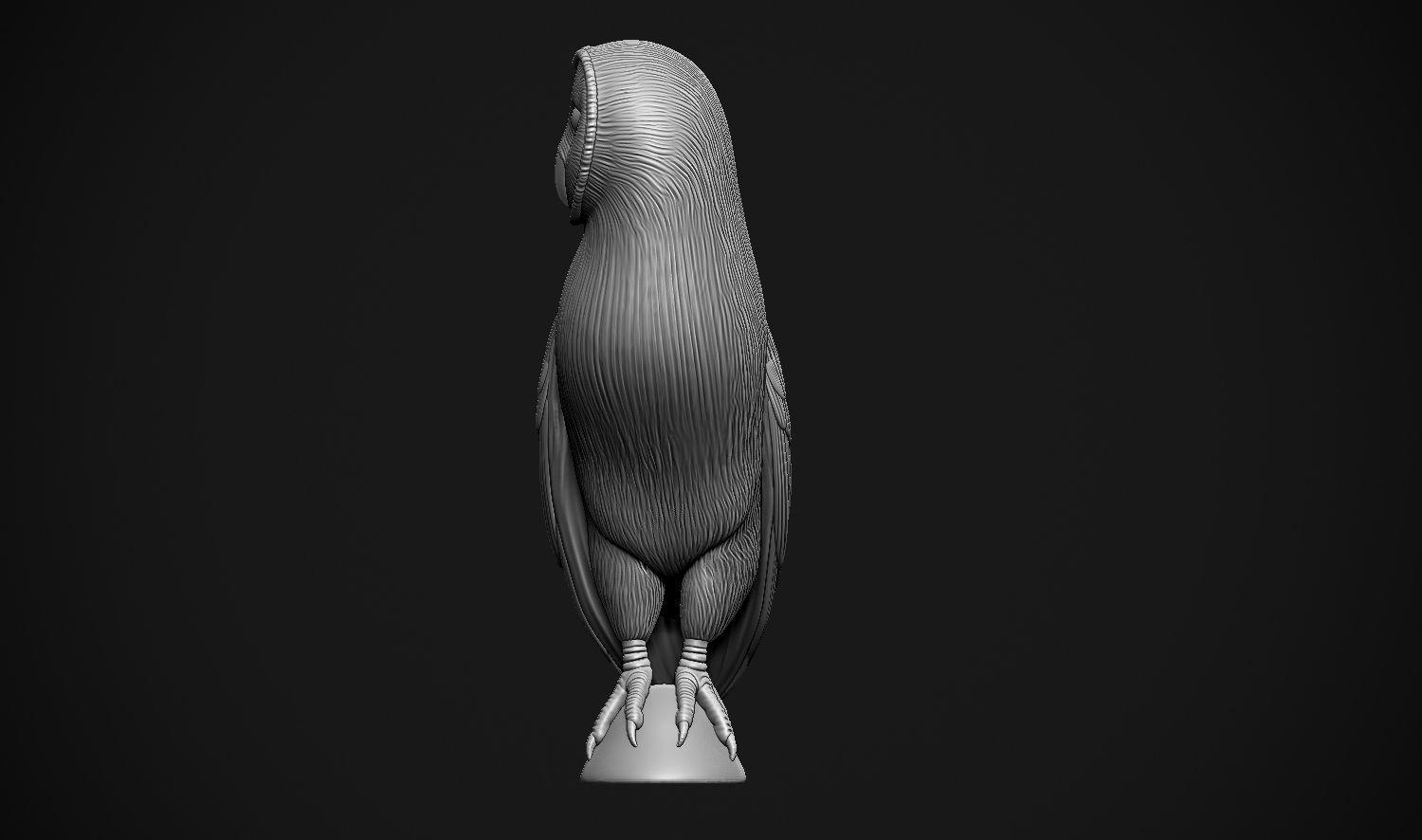 Barn Owl 3D print model_22
