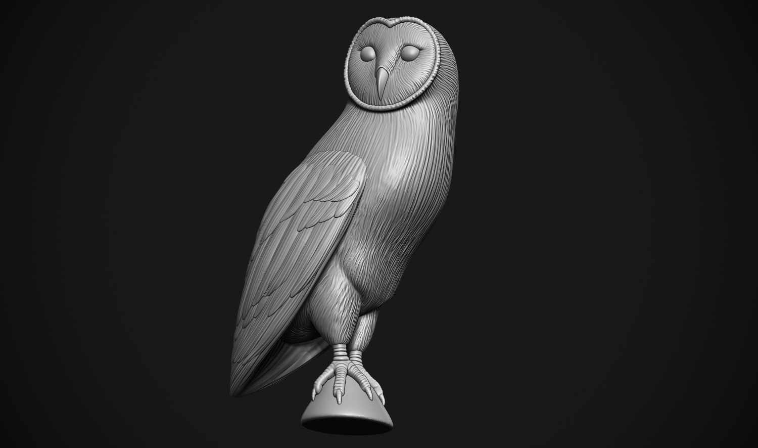 Barn Owl 3D print model_3