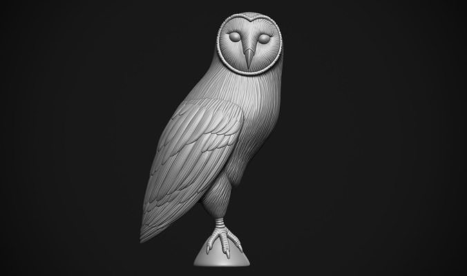 Barn Owl 3D print model