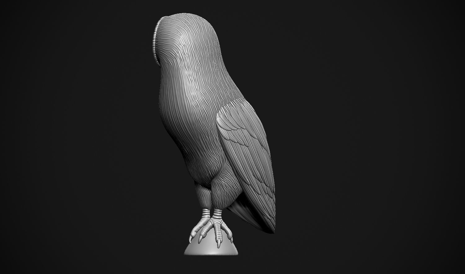 Barn Owl 3D print model_25
