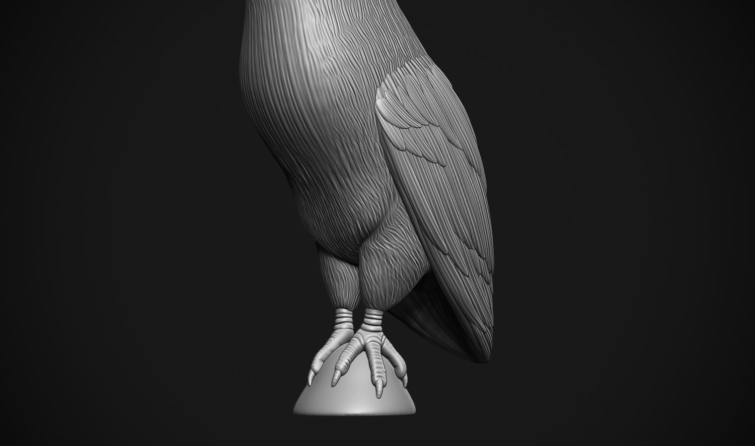Barn Owl 3D print model_6