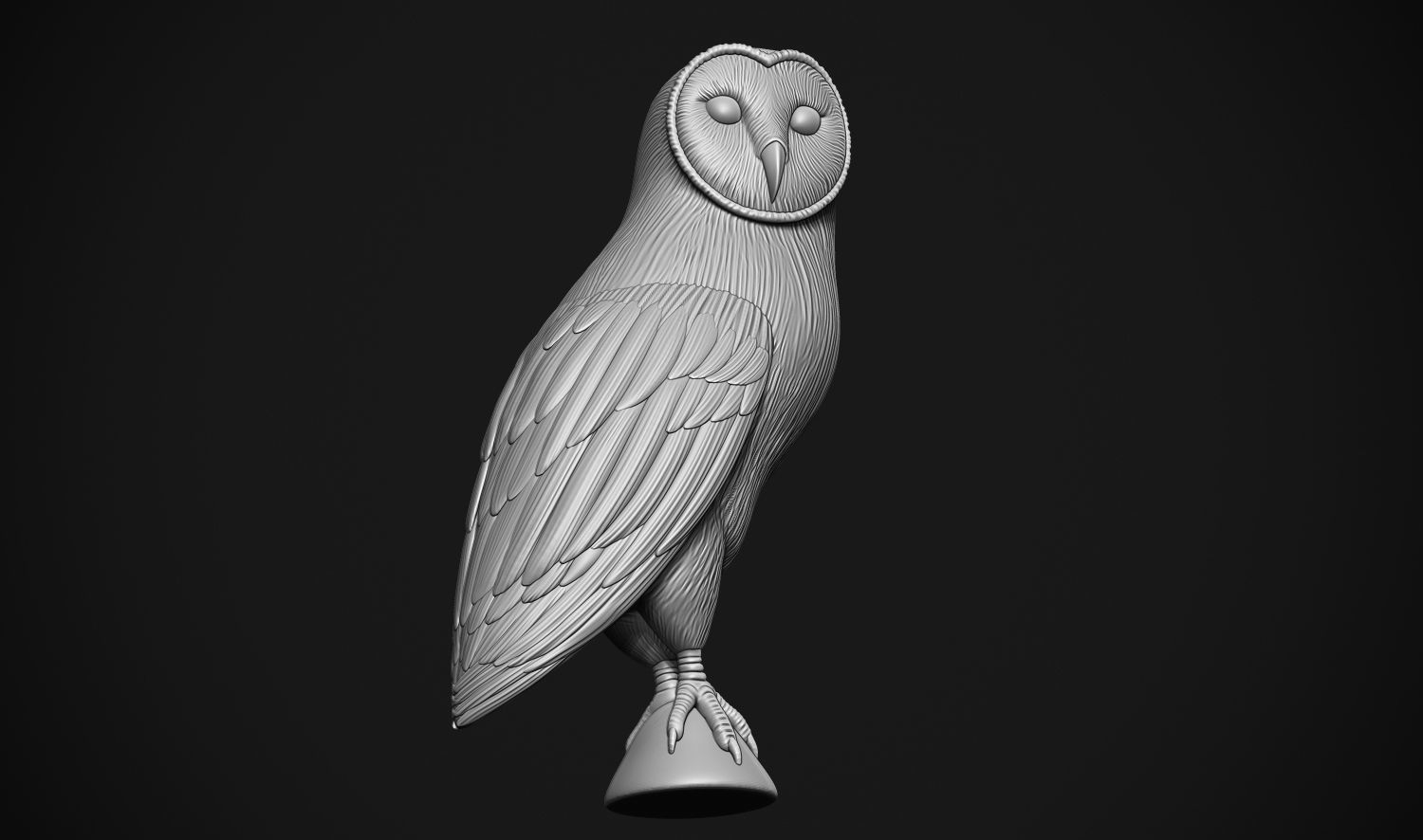 Barn Owl 3D print model_2