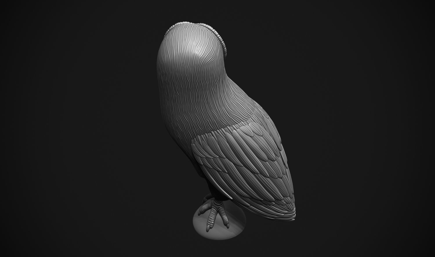 Barn Owl 3D print model_10
