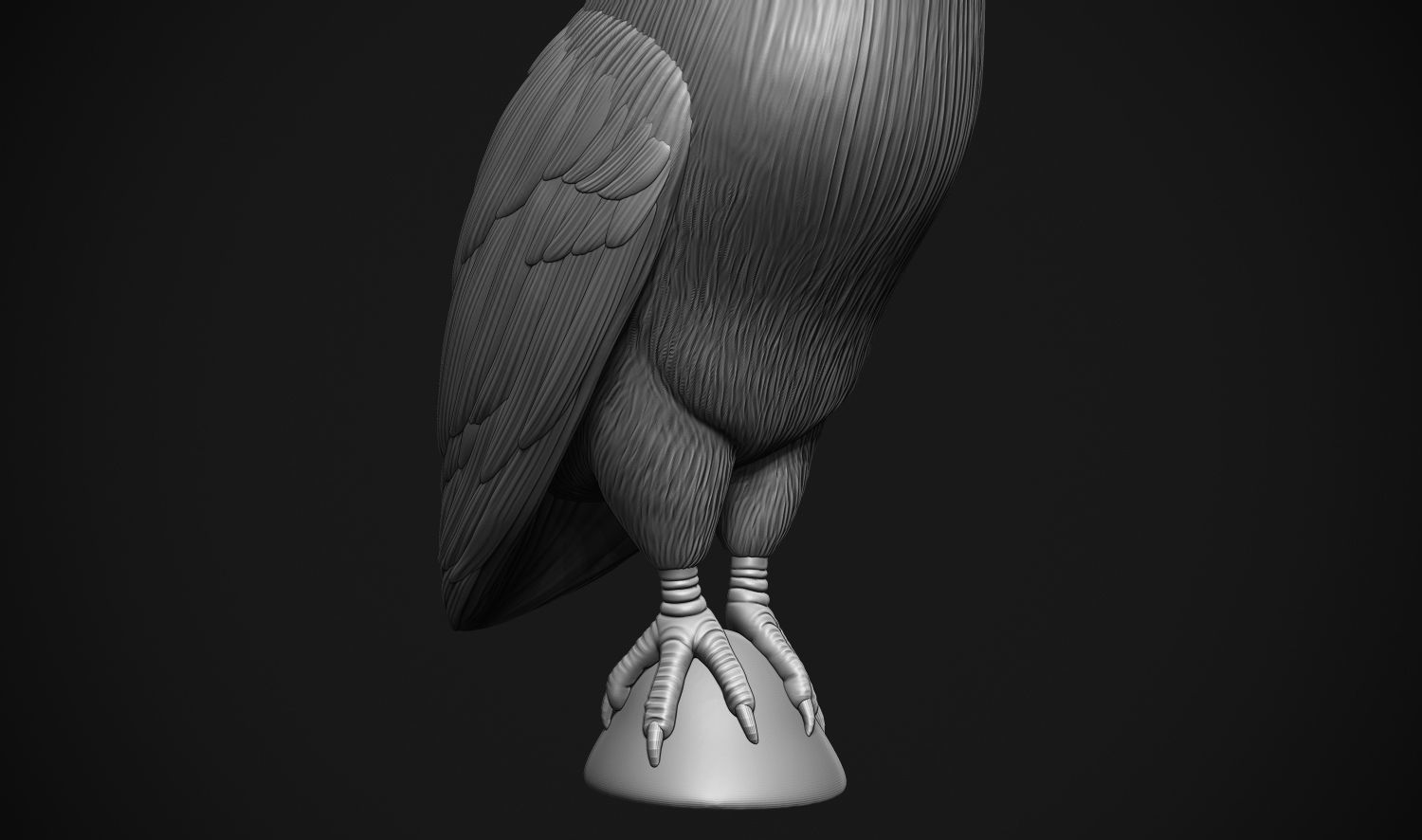 Barn Owl 3D print model_8