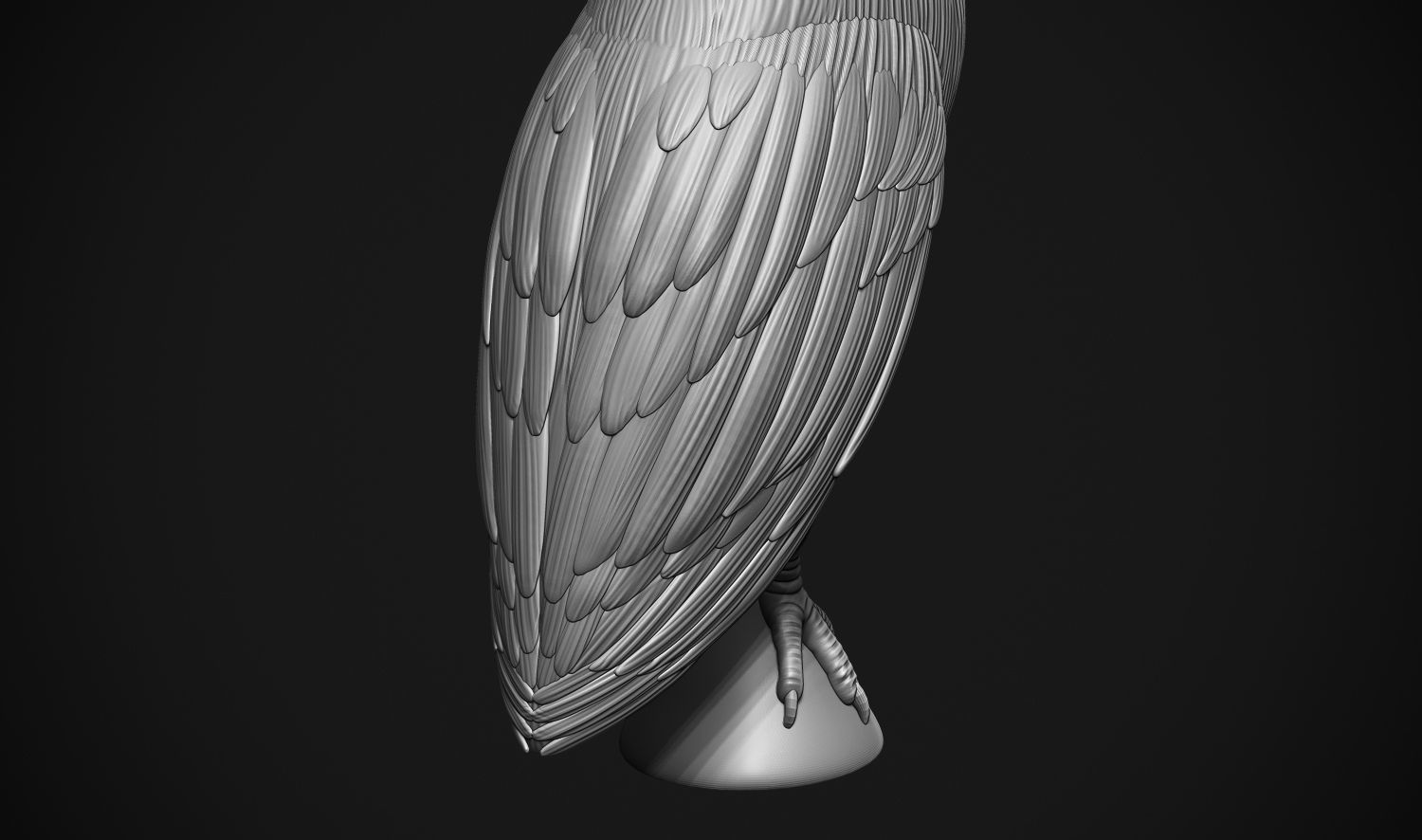 Barn Owl 3D print model_7