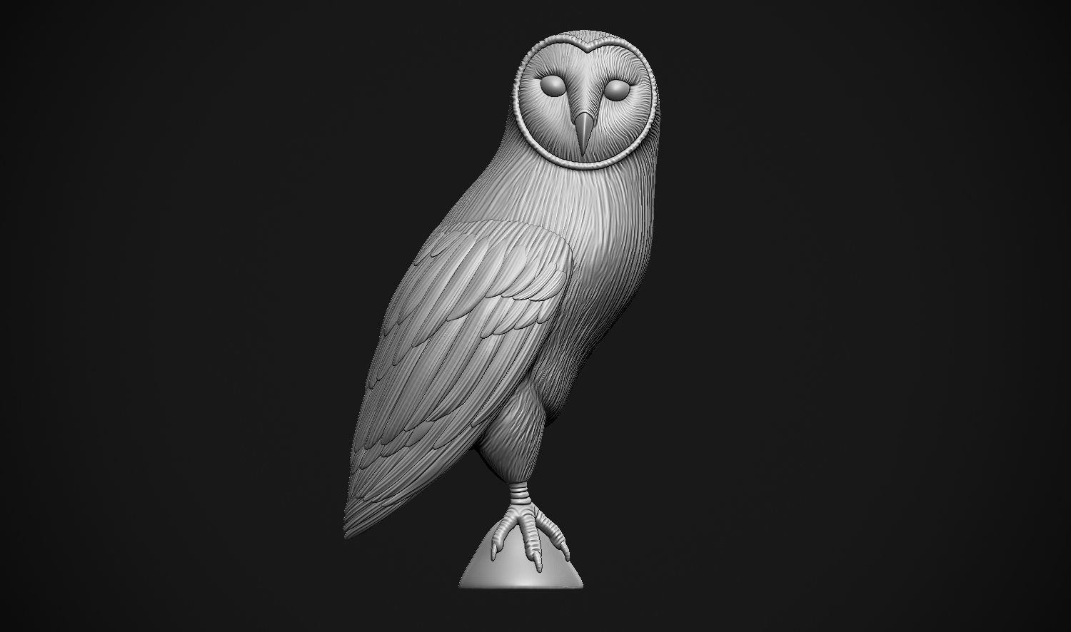 Barn Owl 3D print model_11