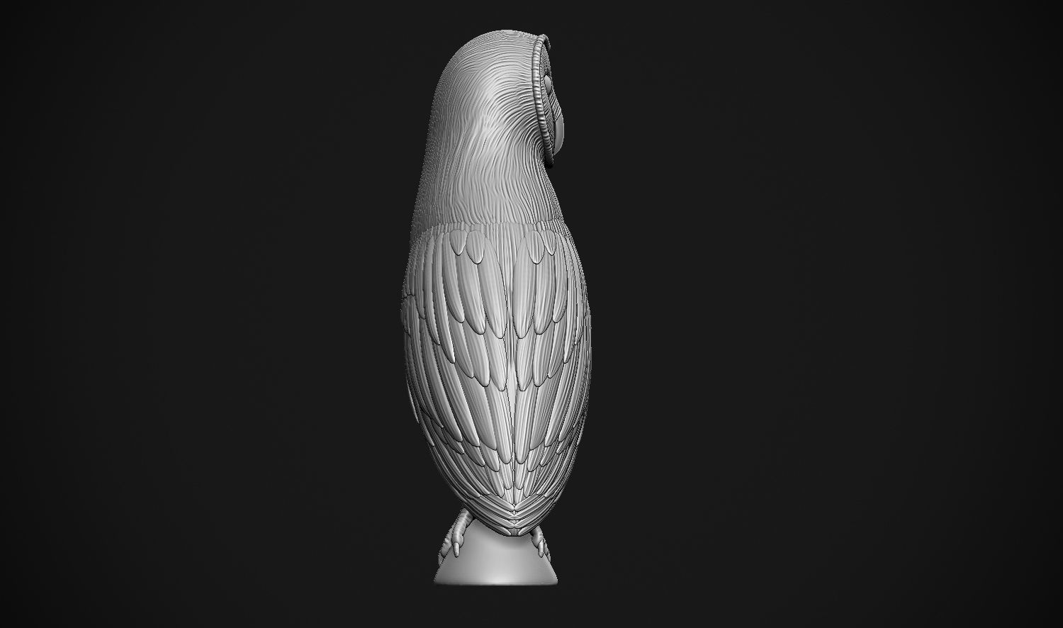 Barn Owl 3D print model_15