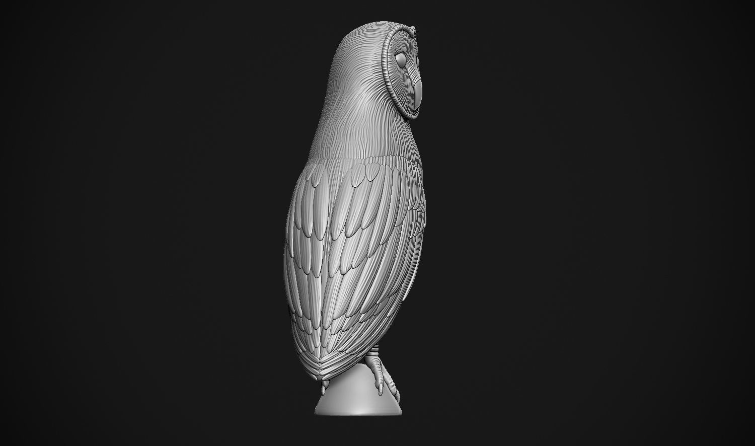 Barn Owl 3D print model_14