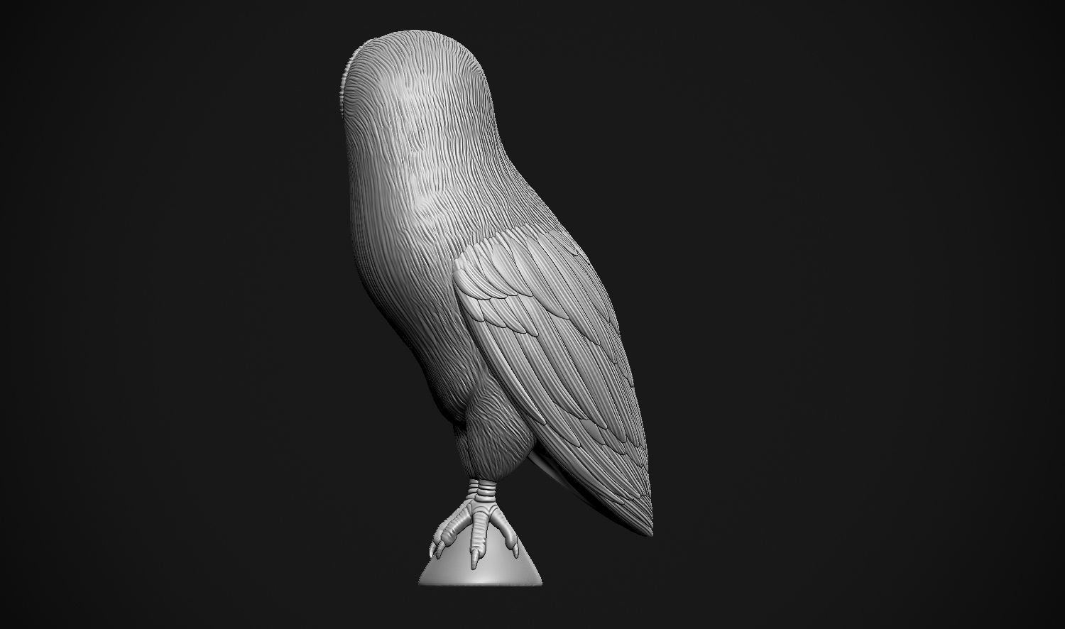 Barn Owl 3D print model_21