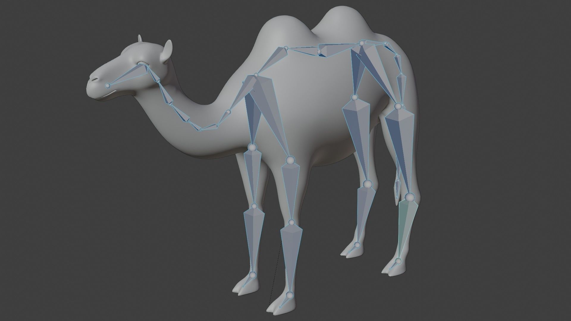 fully rigged low poly camel Low-poly 3D model_7