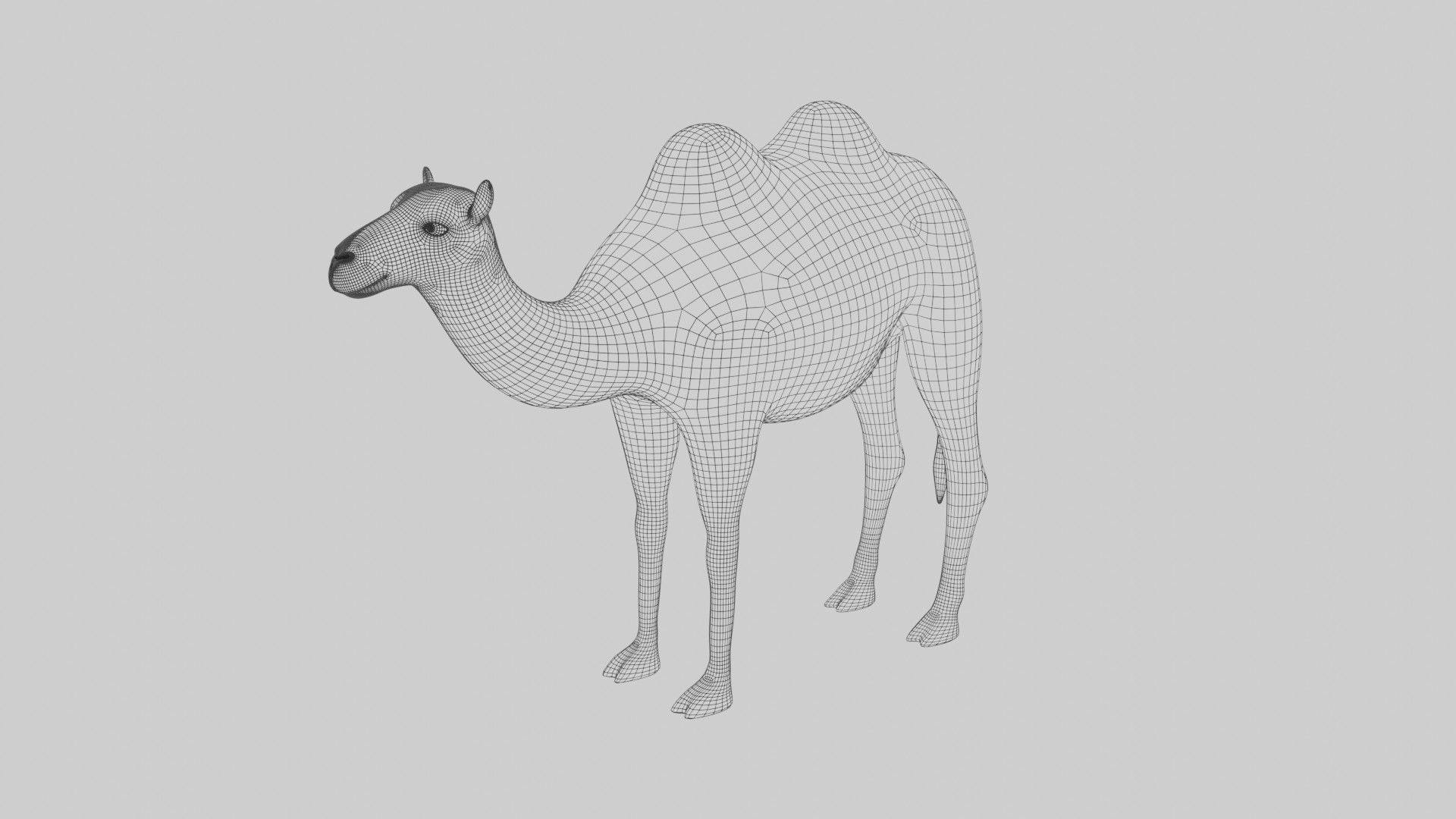 fully rigged low poly camel 2 Low-poly 3D model_8