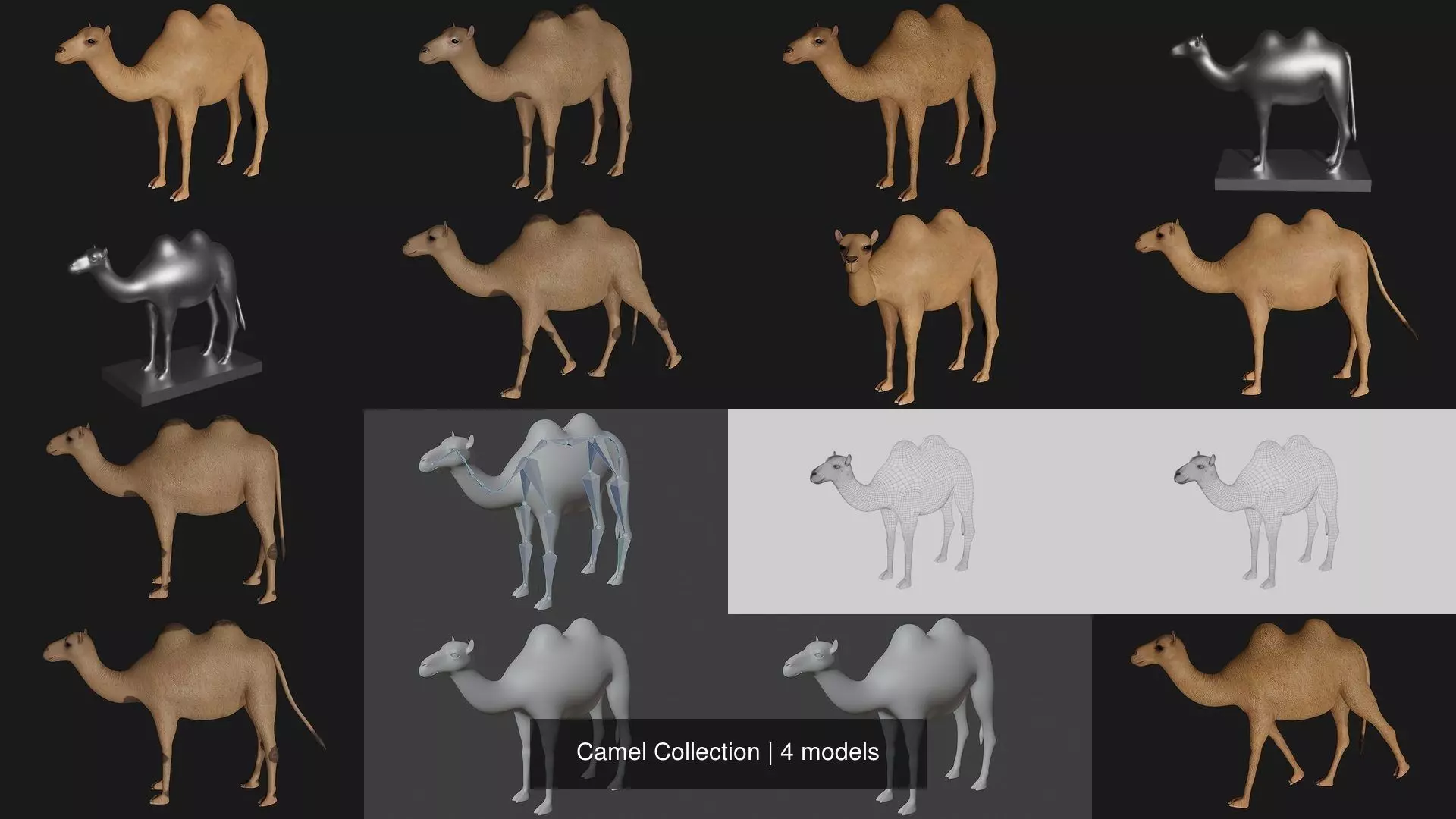 Camel Collection _0