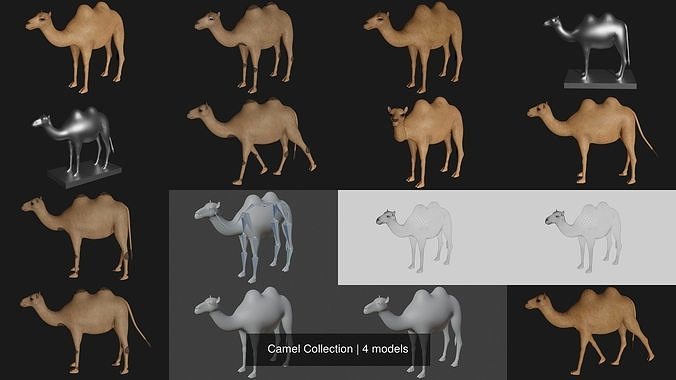 Camel Collection 