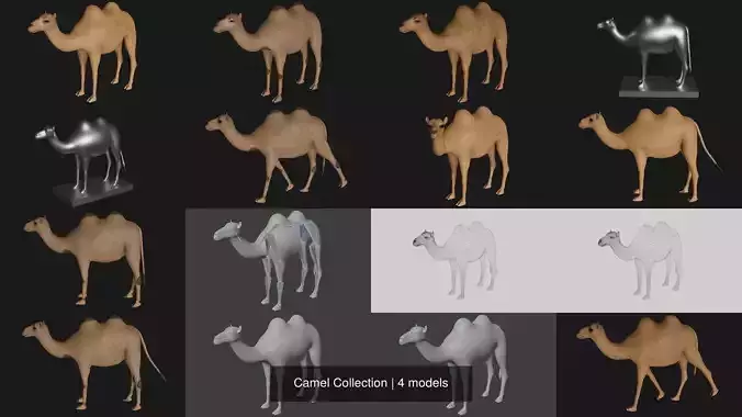 Camel Collection 