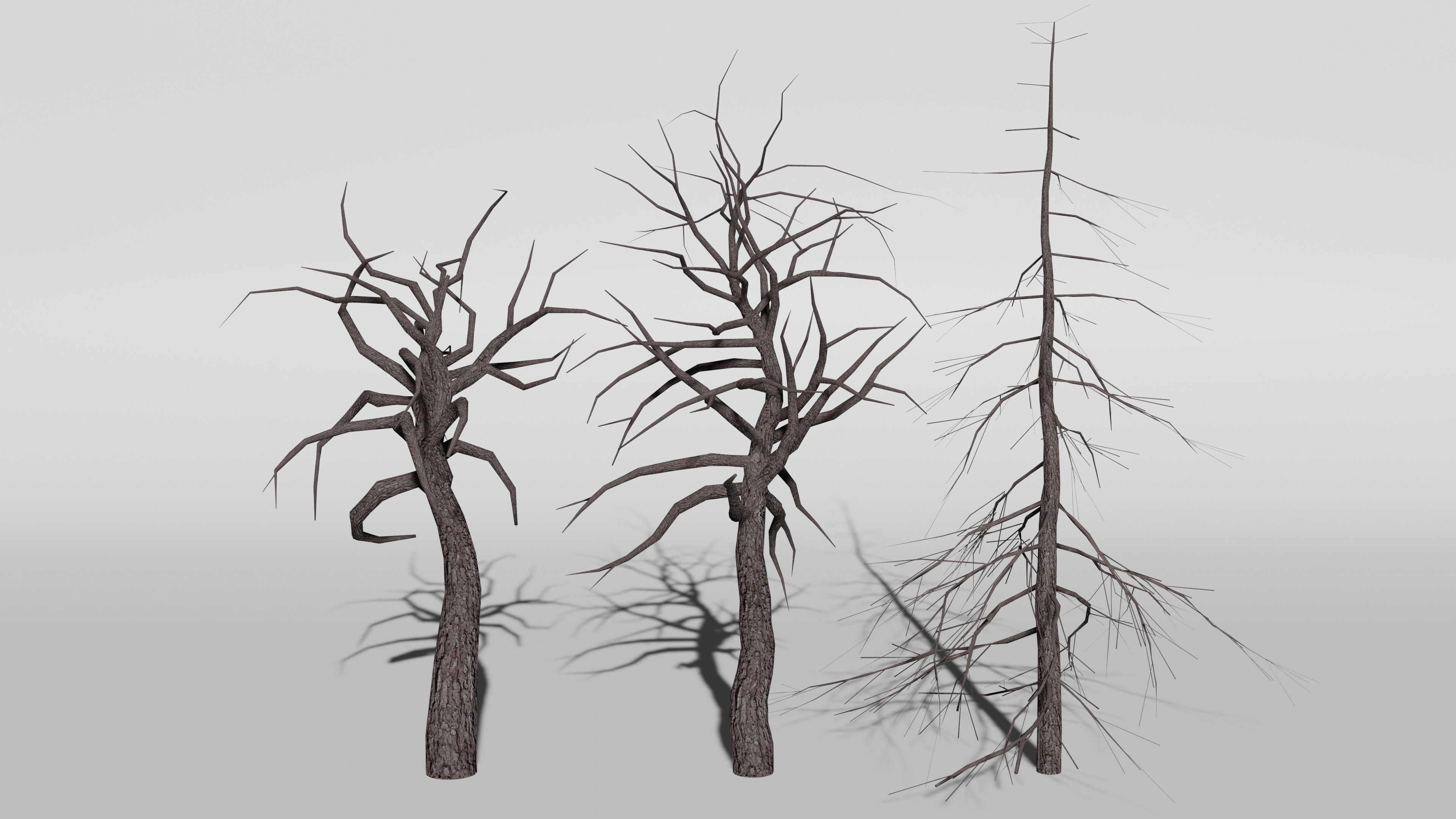 Spooky Forest Low-poly 3D model_7