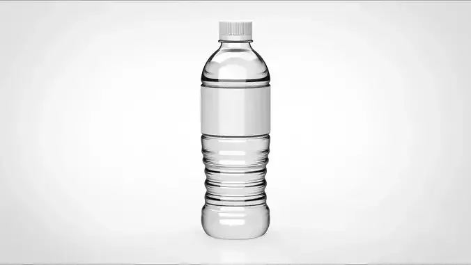 Water pet bottle