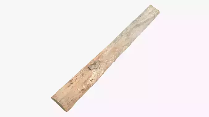 Plank with Bark Fragment Low-poly 3D model