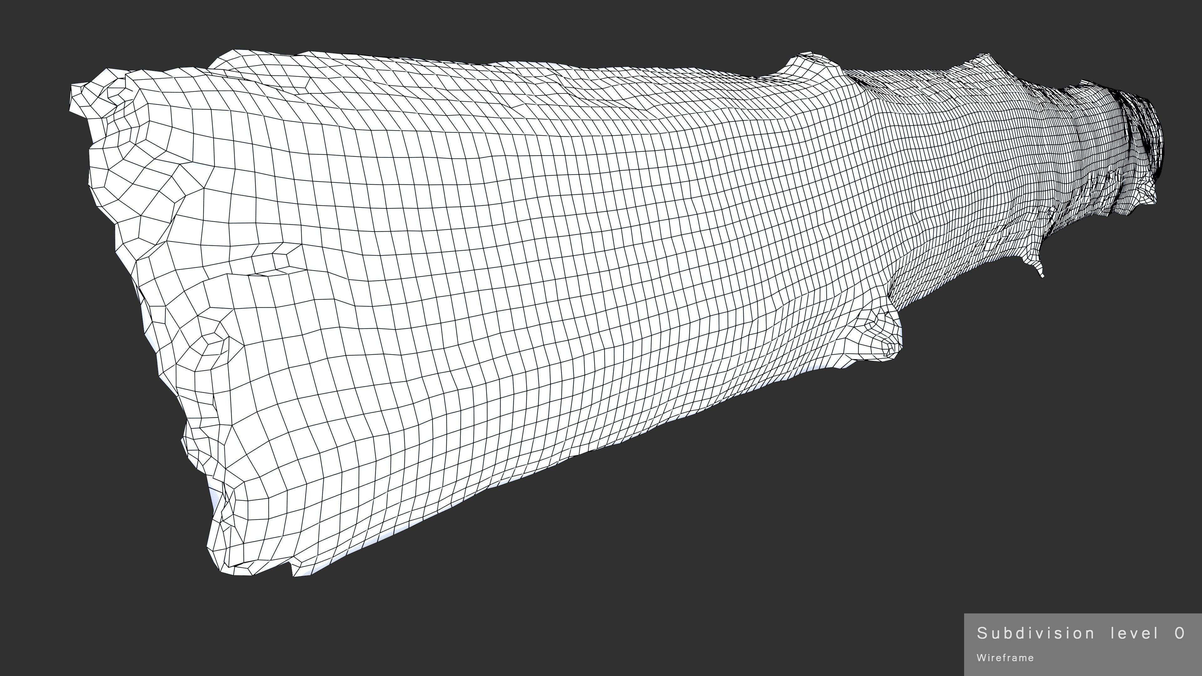 Plank Eaten Low-poly 3D model_33