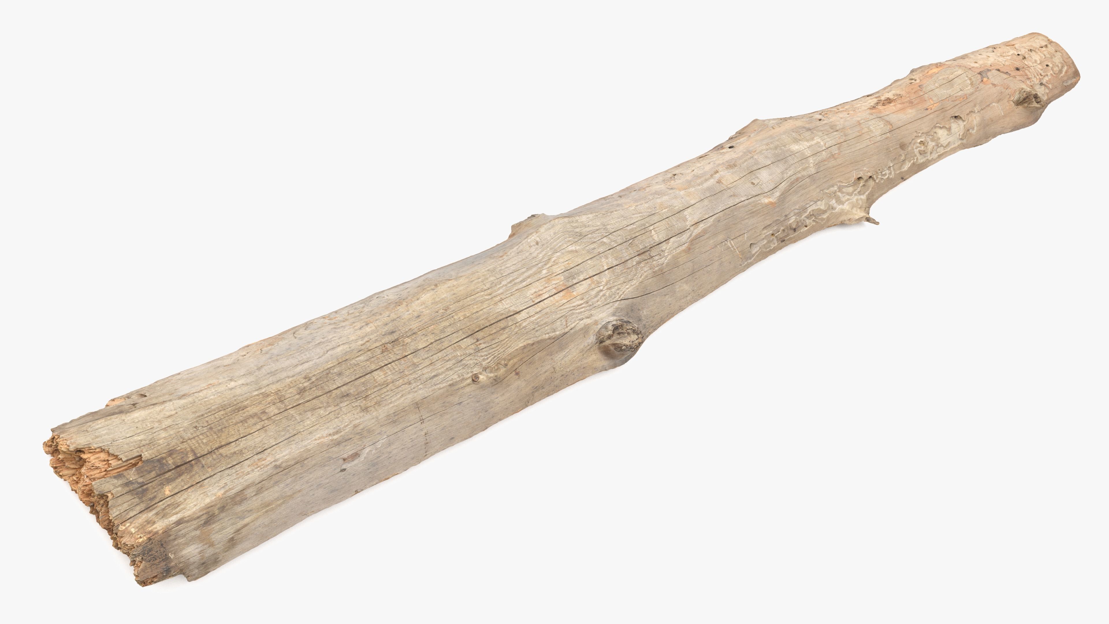 Plank Eaten Low-poly 3D model_7
