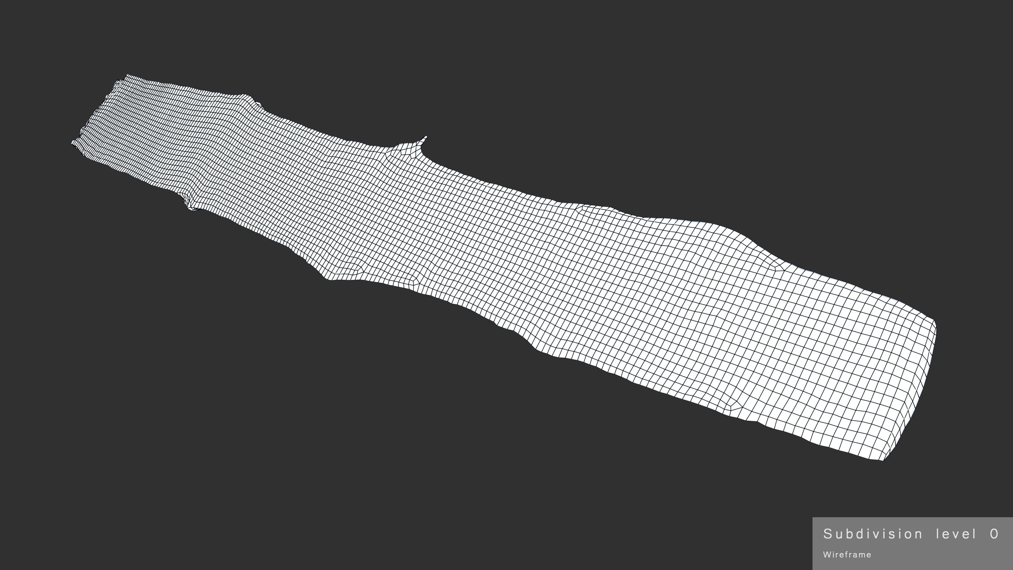 Plank Eaten Low-poly 3D model_30