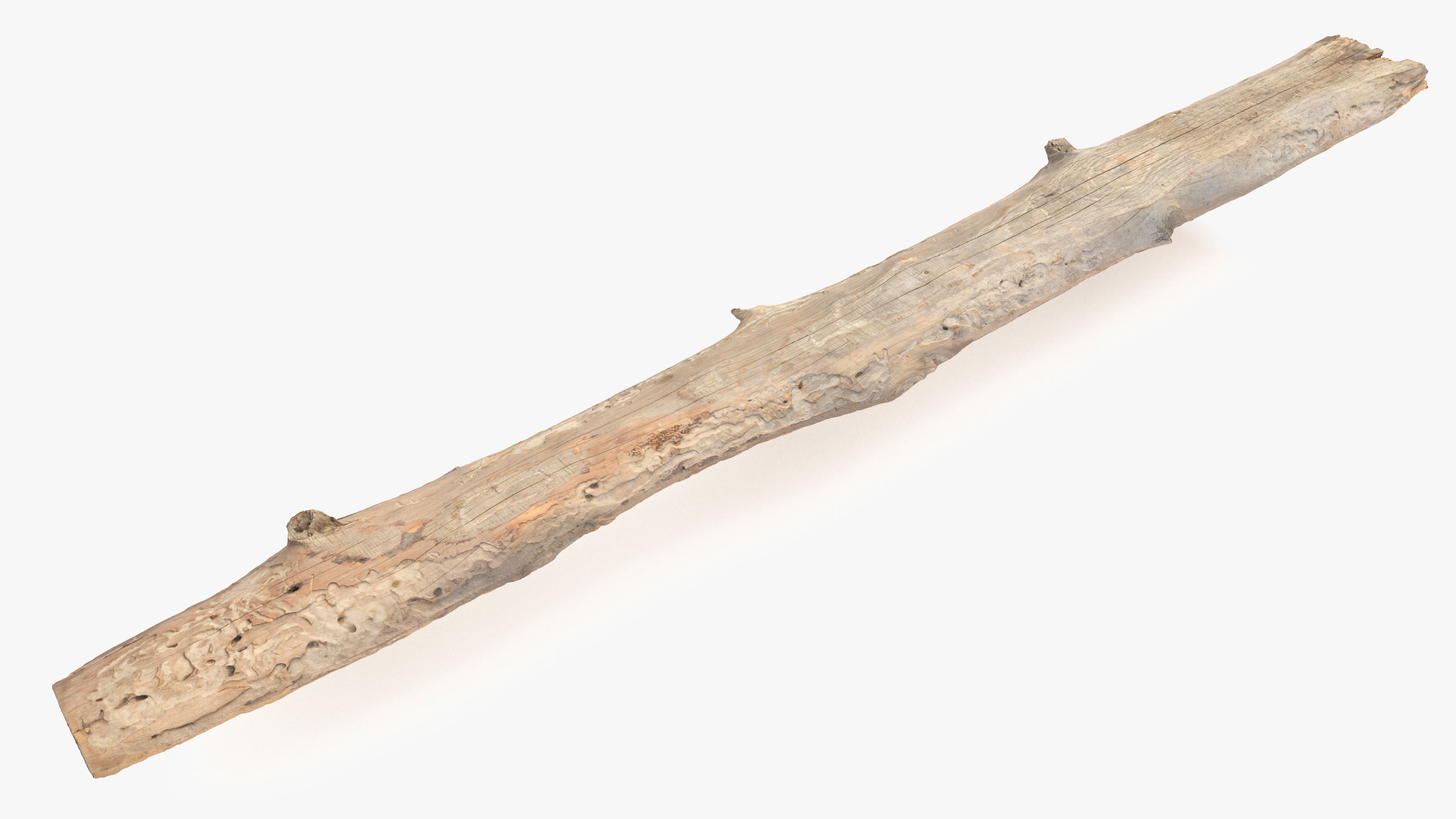 Plank Eaten Low-poly 3D model_4