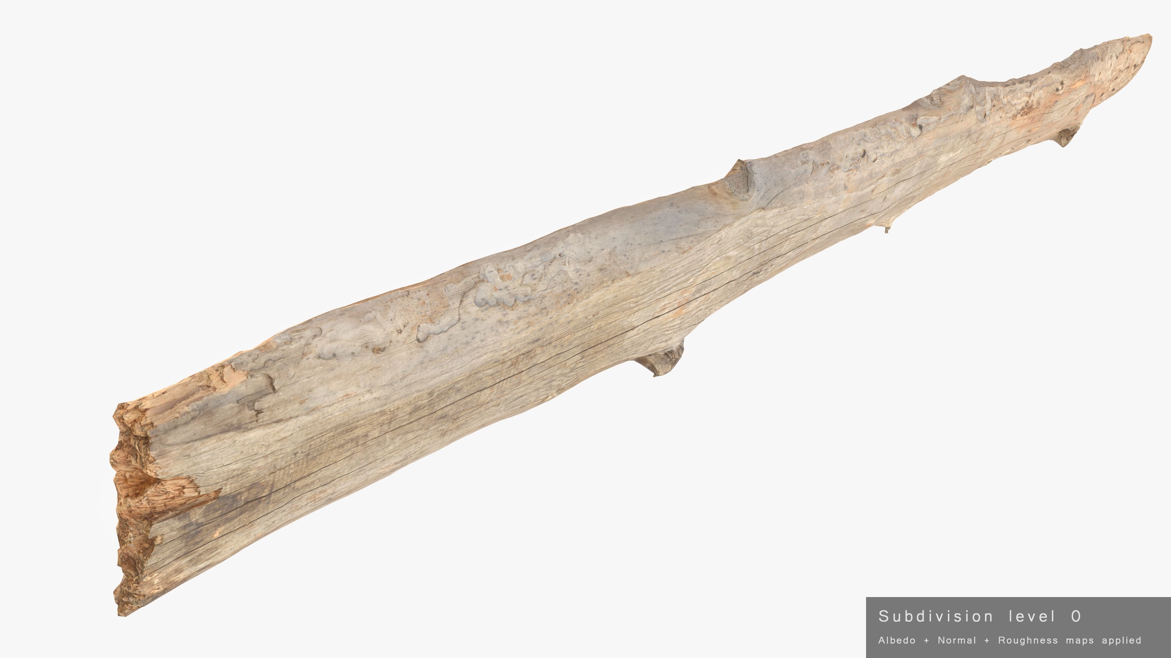 Plank Eaten Low-poly 3D model_23