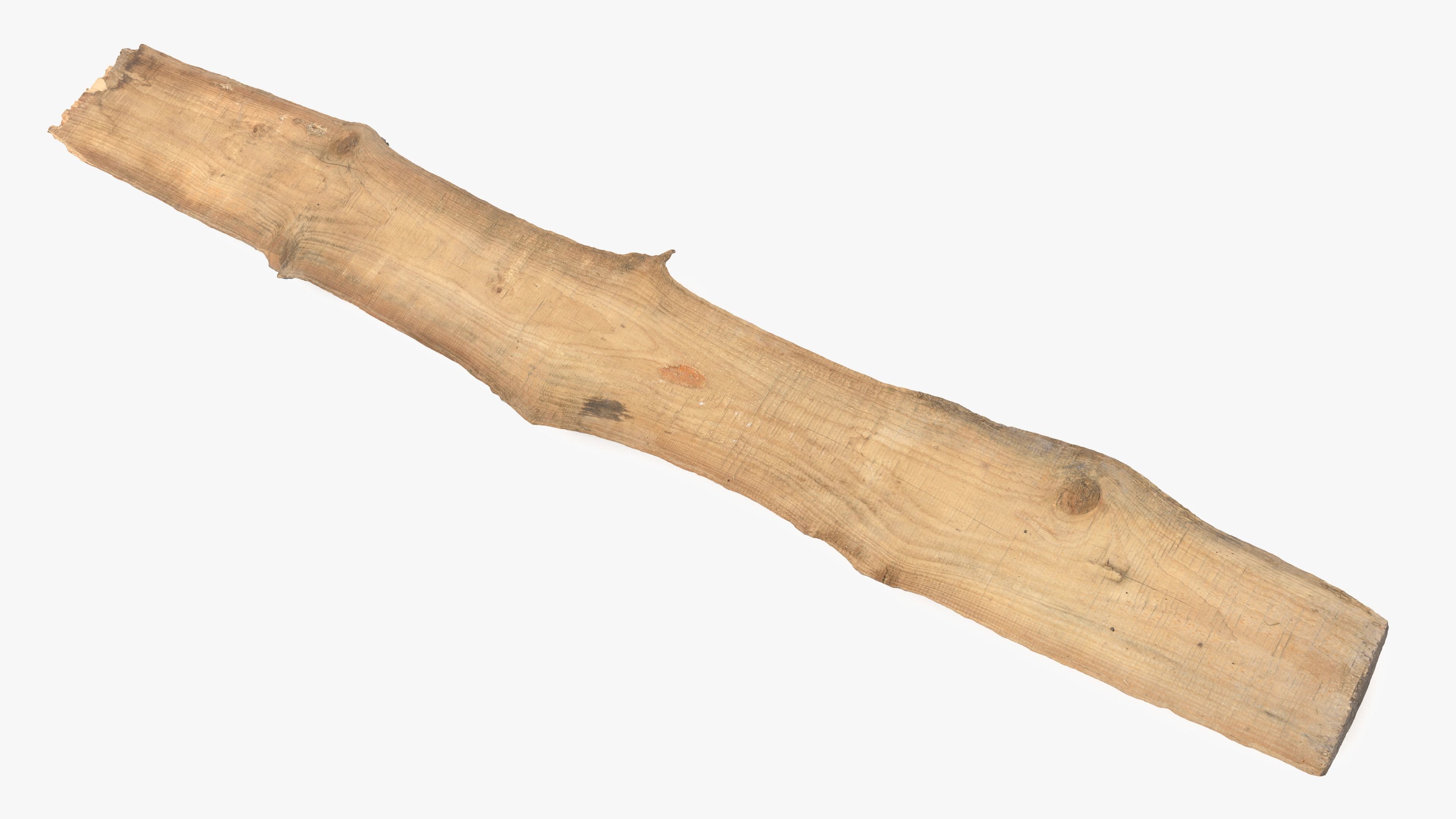 Plank Eaten Low-poly 3D model_14