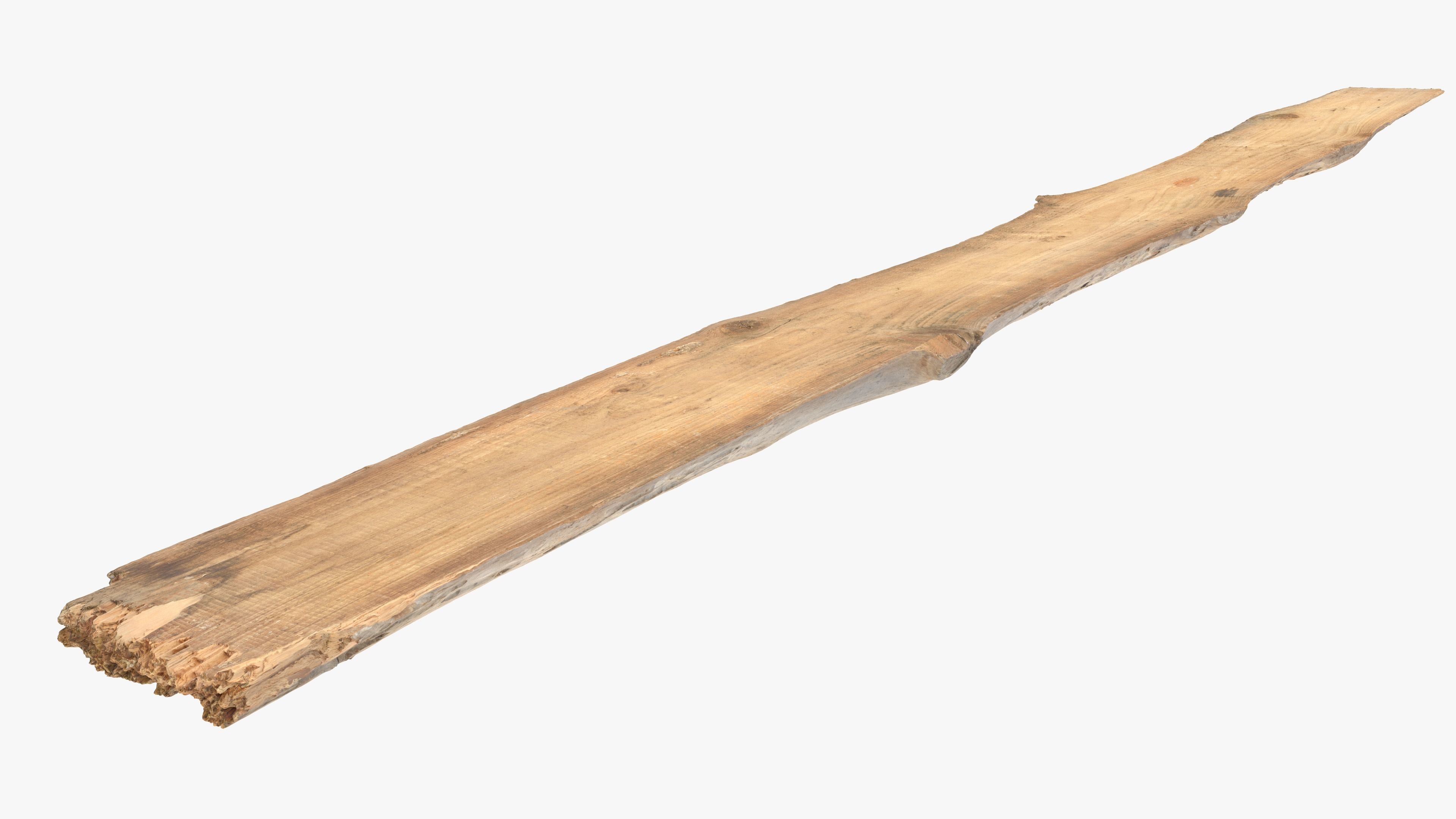 Plank Eaten Low-poly 3D model_17