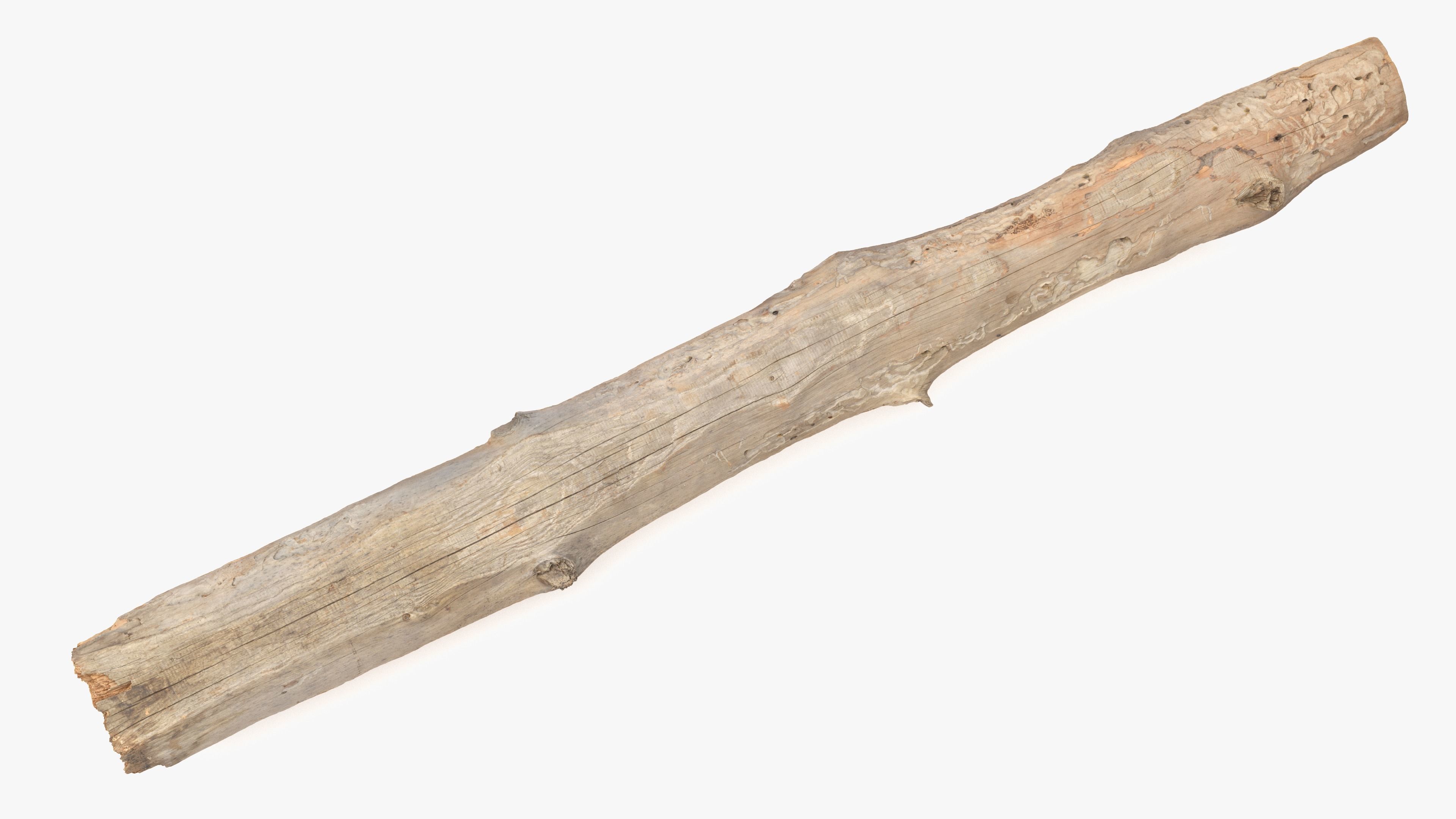 Plank Eaten Low-poly 3D model_5