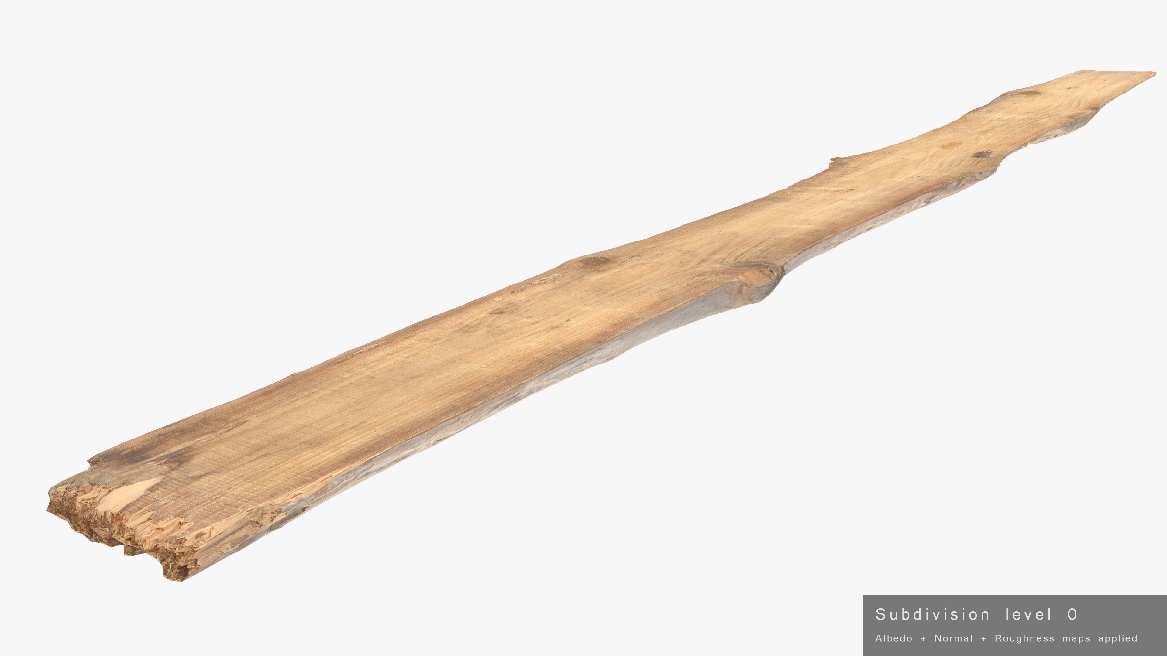 Plank Eaten Low-poly 3D model_24