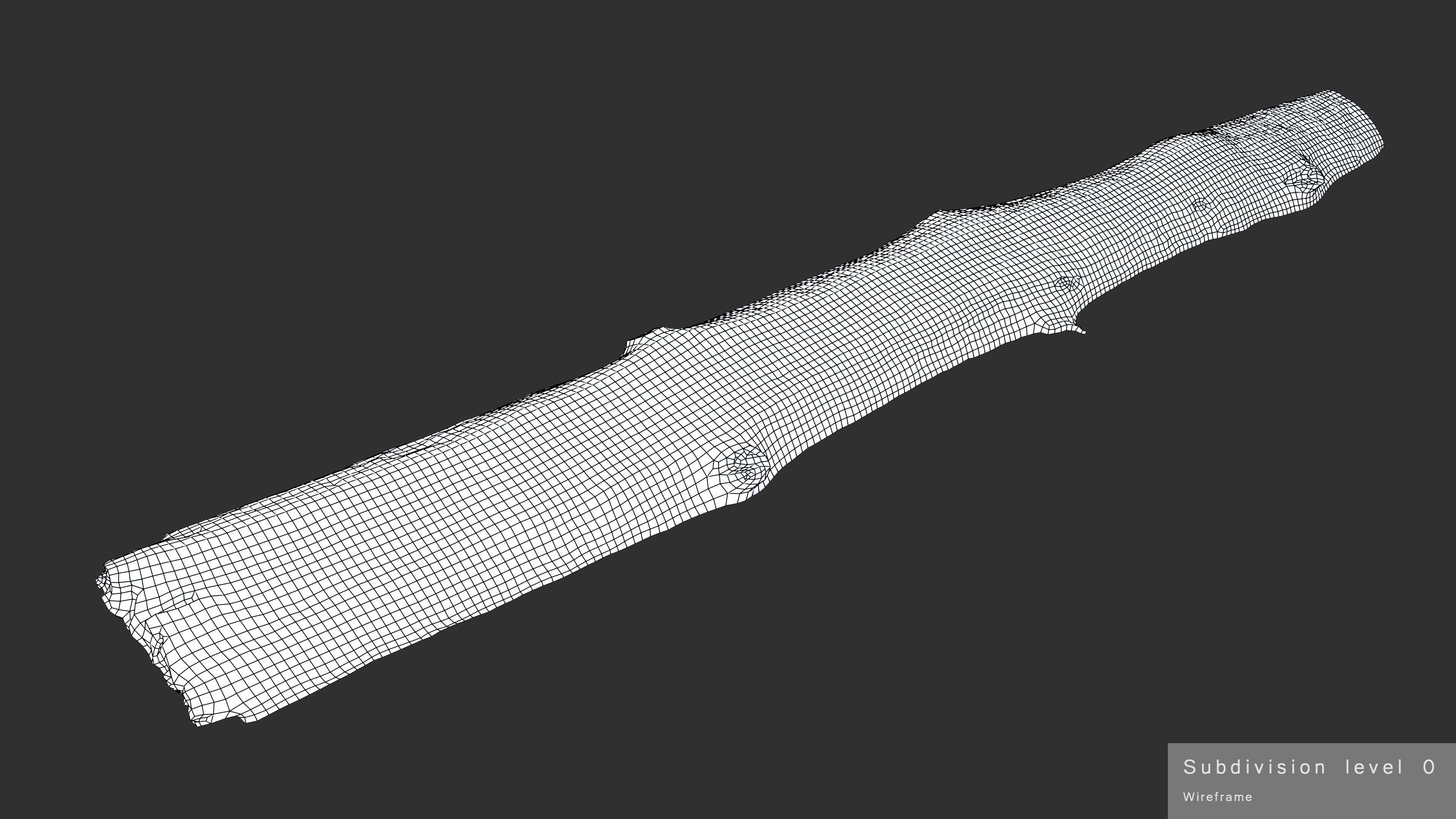 Plank Eaten Low-poly 3D model_28