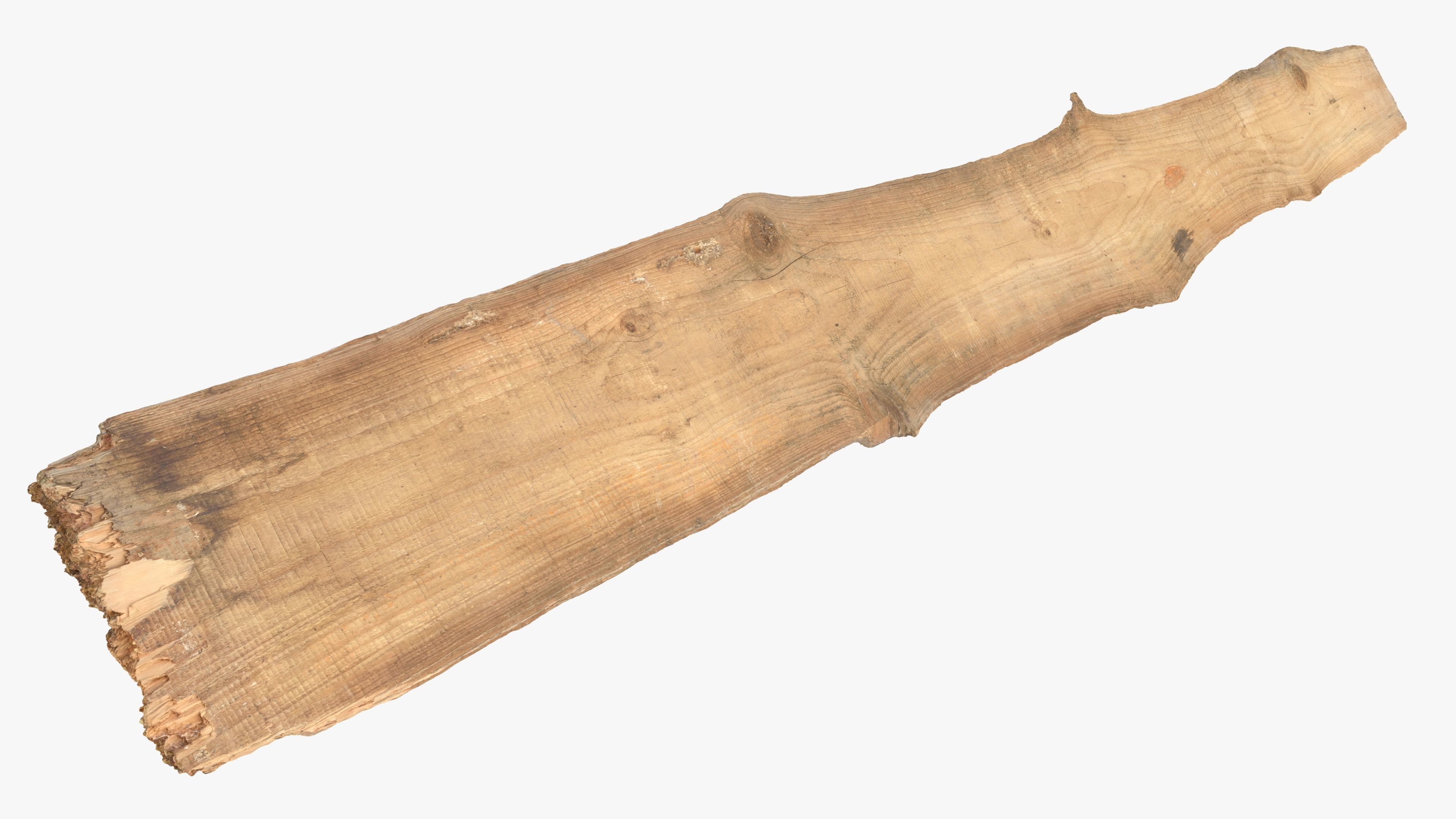Plank Eaten Low-poly 3D model_18