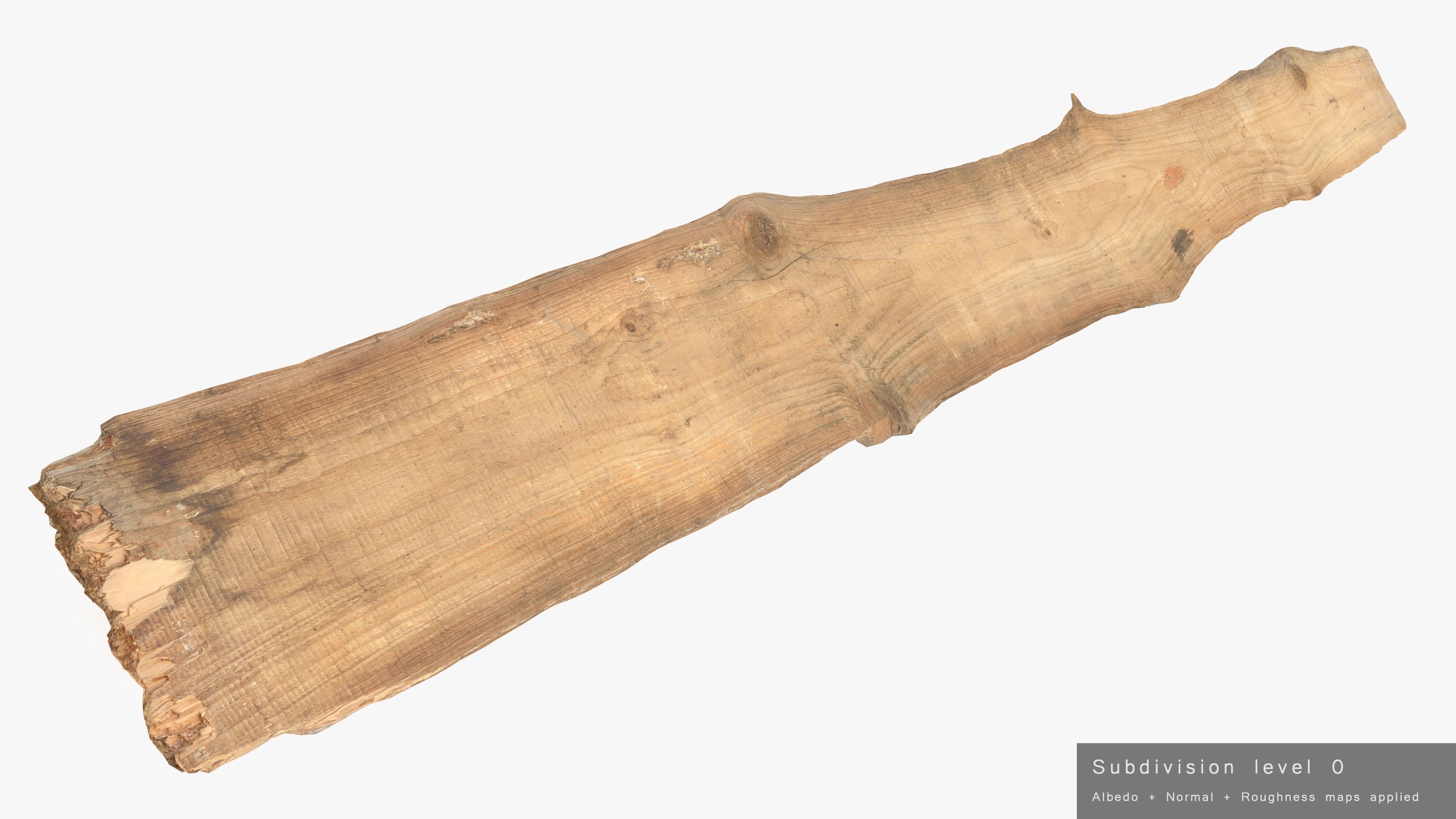 Plank Eaten Low-poly 3D model_25