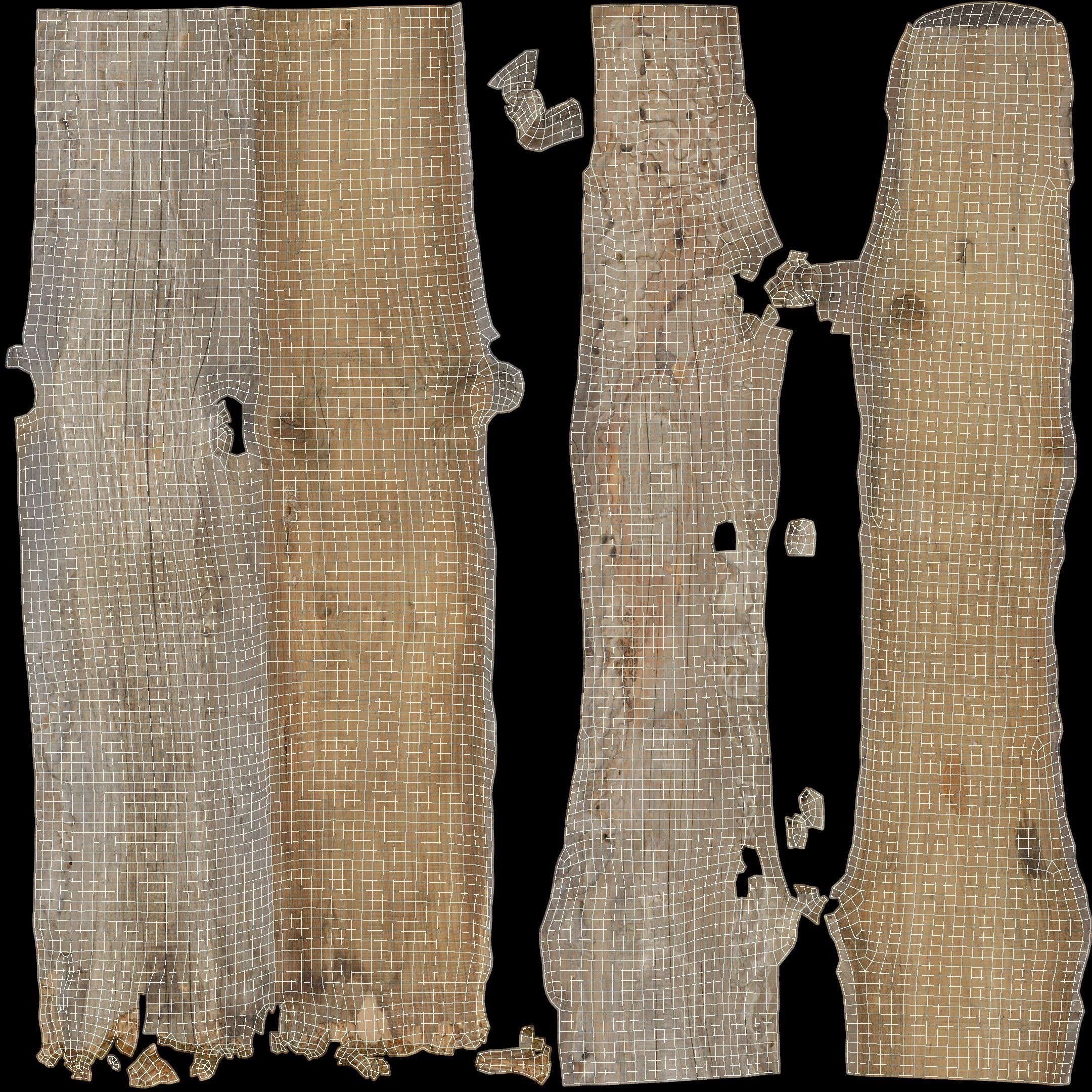 Plank Eaten Low-poly 3D model_34