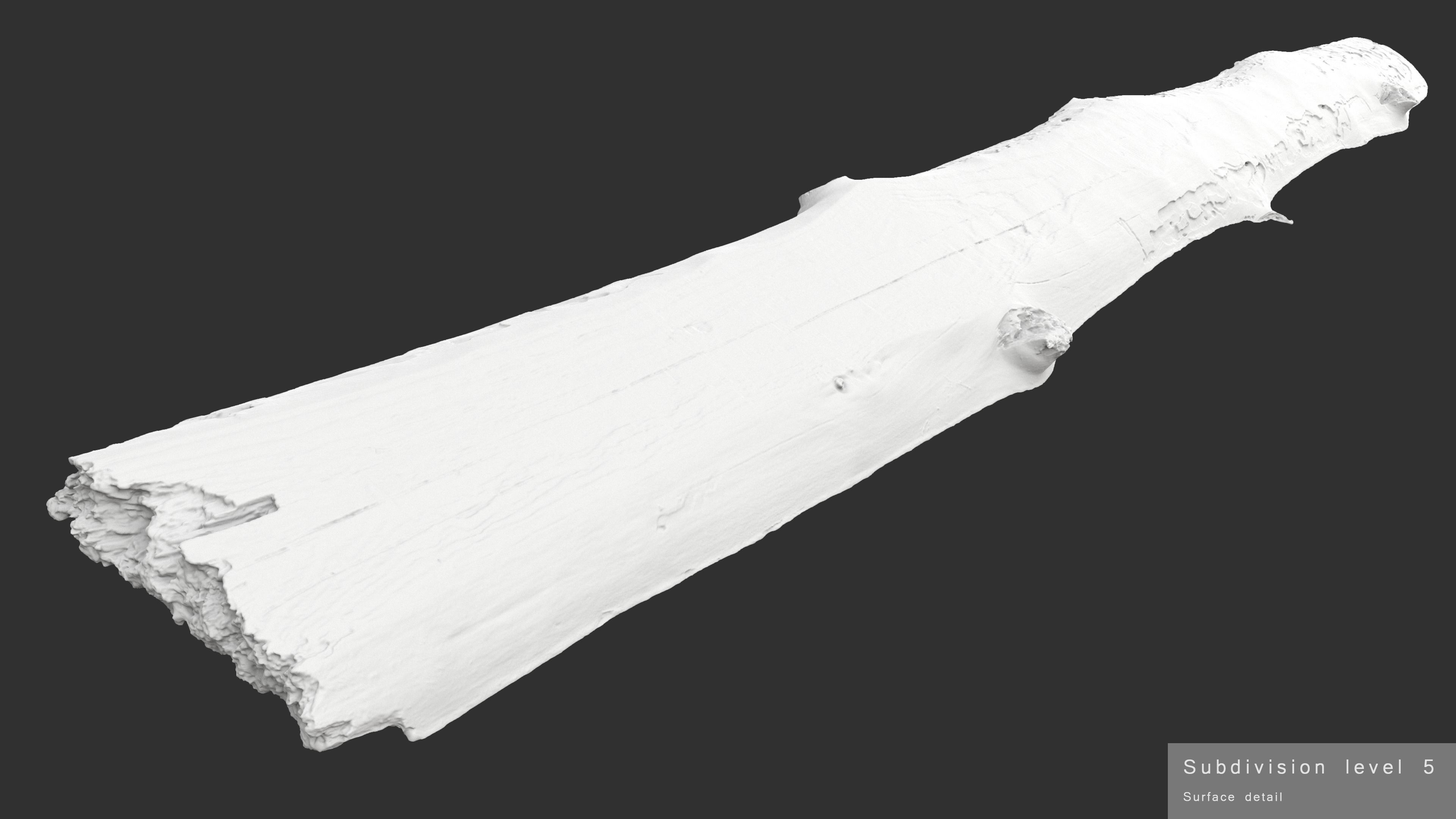 Plank Eaten Low-poly 3D model_21