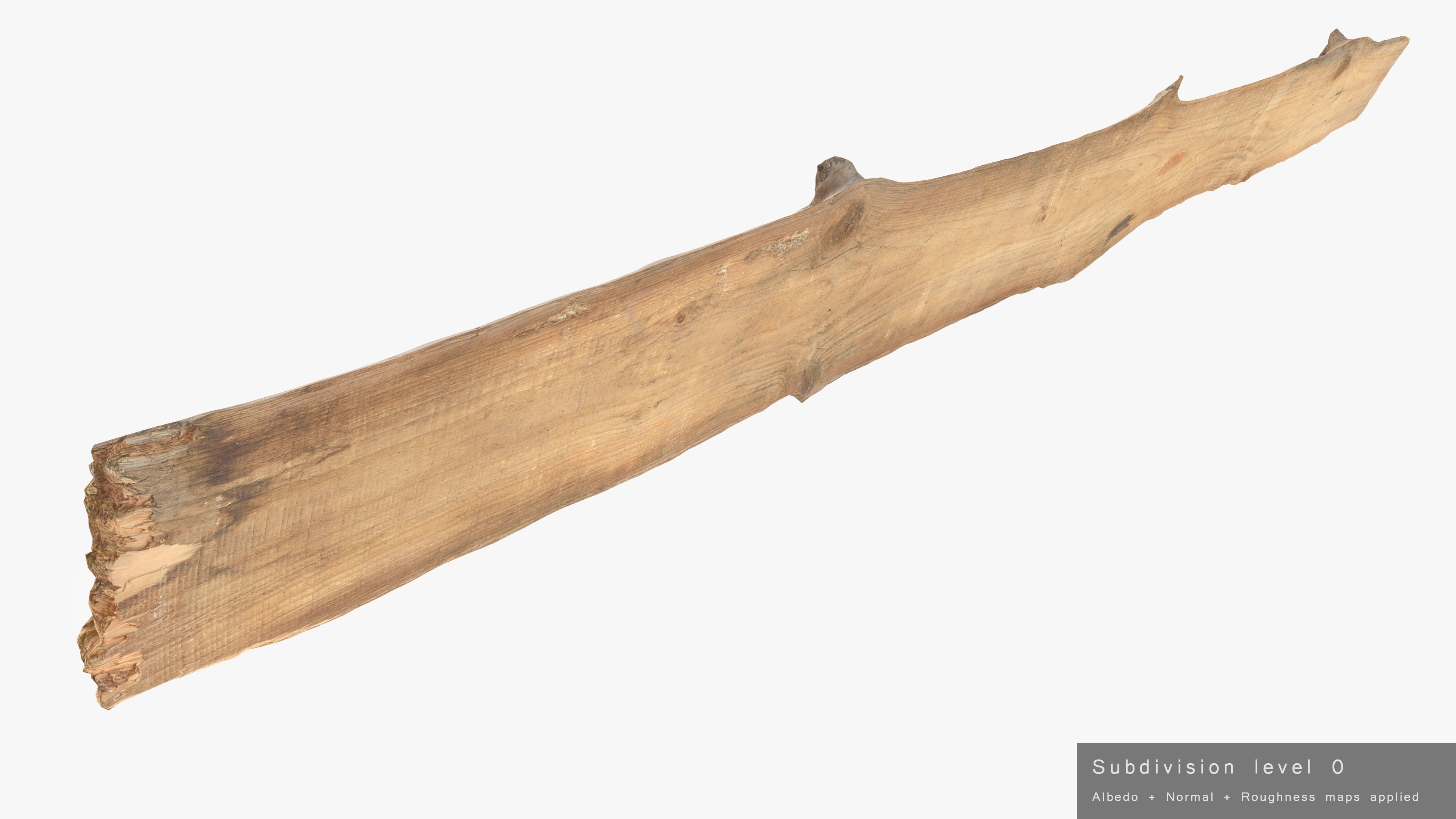 Plank Eaten Low-poly 3D model_26