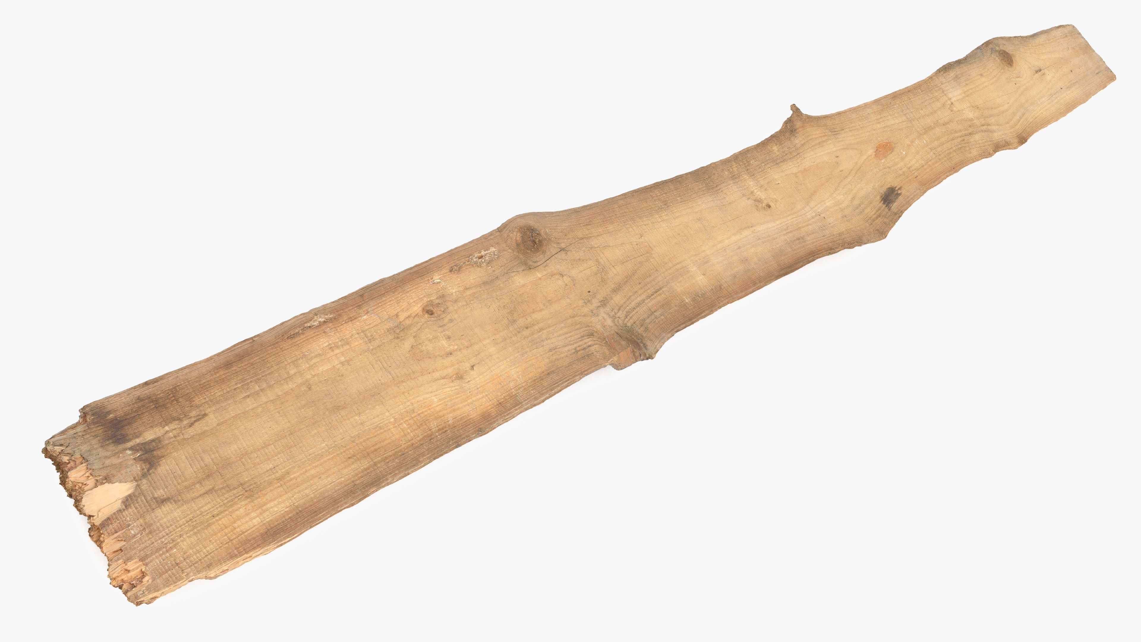 Plank Eaten Low-poly 3D model_13