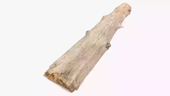 Plank Eaten Low-poly 3D model