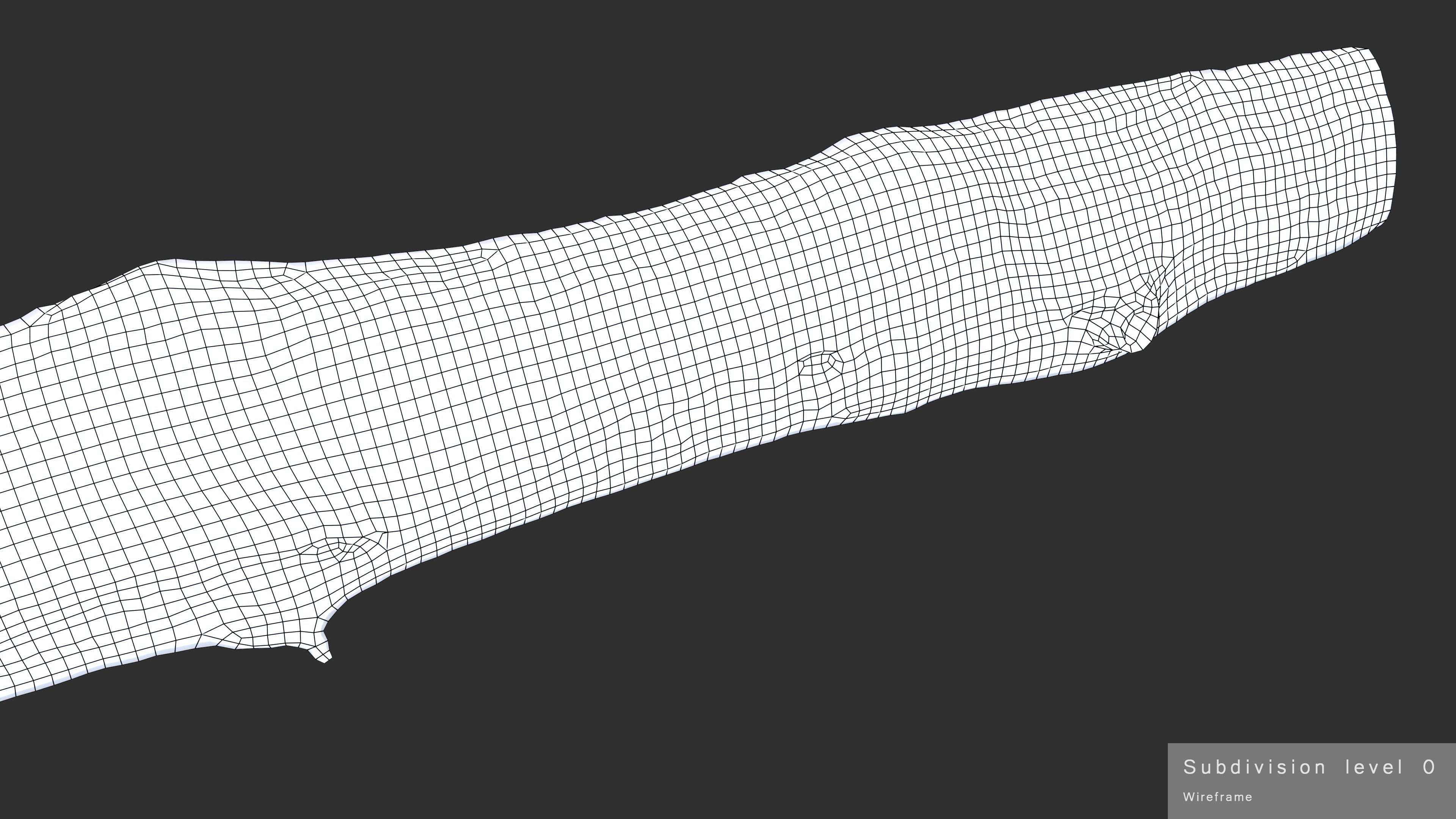 Plank Eaten Low-poly 3D model_32